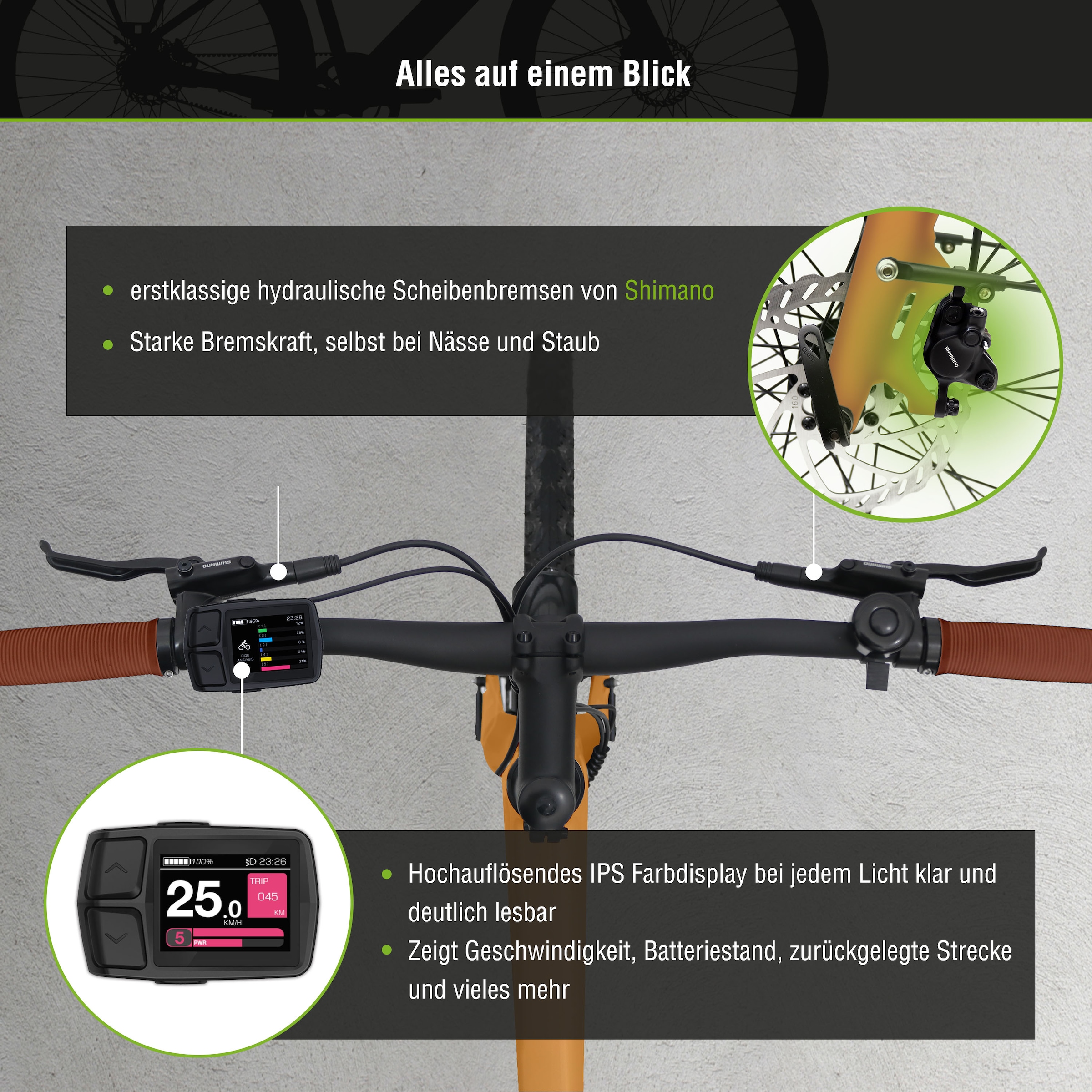 SachsenRad E-Bike »C3T«, 1 Gang, Shimano, Heckmotor 250 W