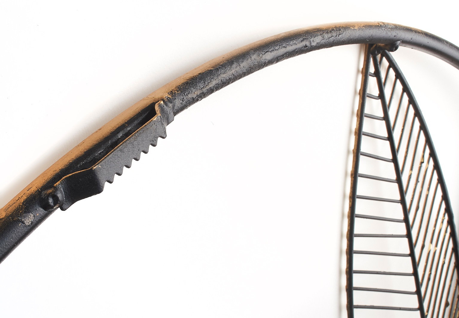 locker Wanddekoobjekt »Wandbild FOGLIA« günstig online kaufen