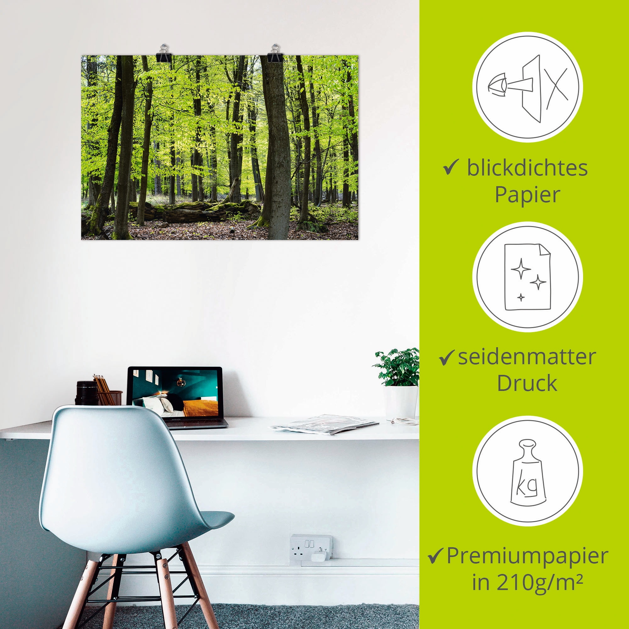 Artland Poster »Laubwald im Frühjahr«, Wald, (1 St.), als Alubild, Leinwandbild, Wandaufkleber oder Poster in versch. Größen