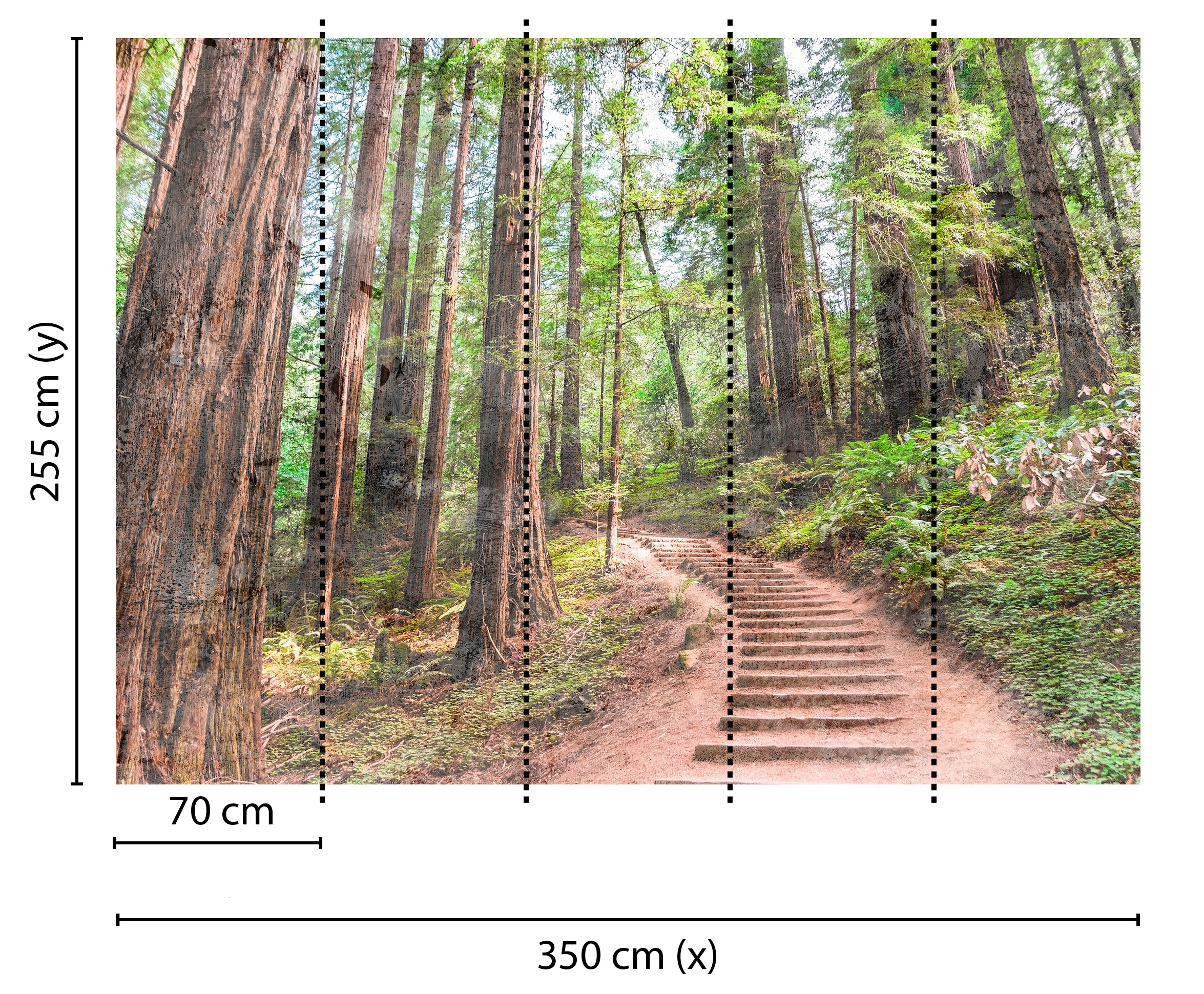 living walls Fototapete »Designwalls Forest Walk 1«, Vlies, Wand, Schräge, Decke