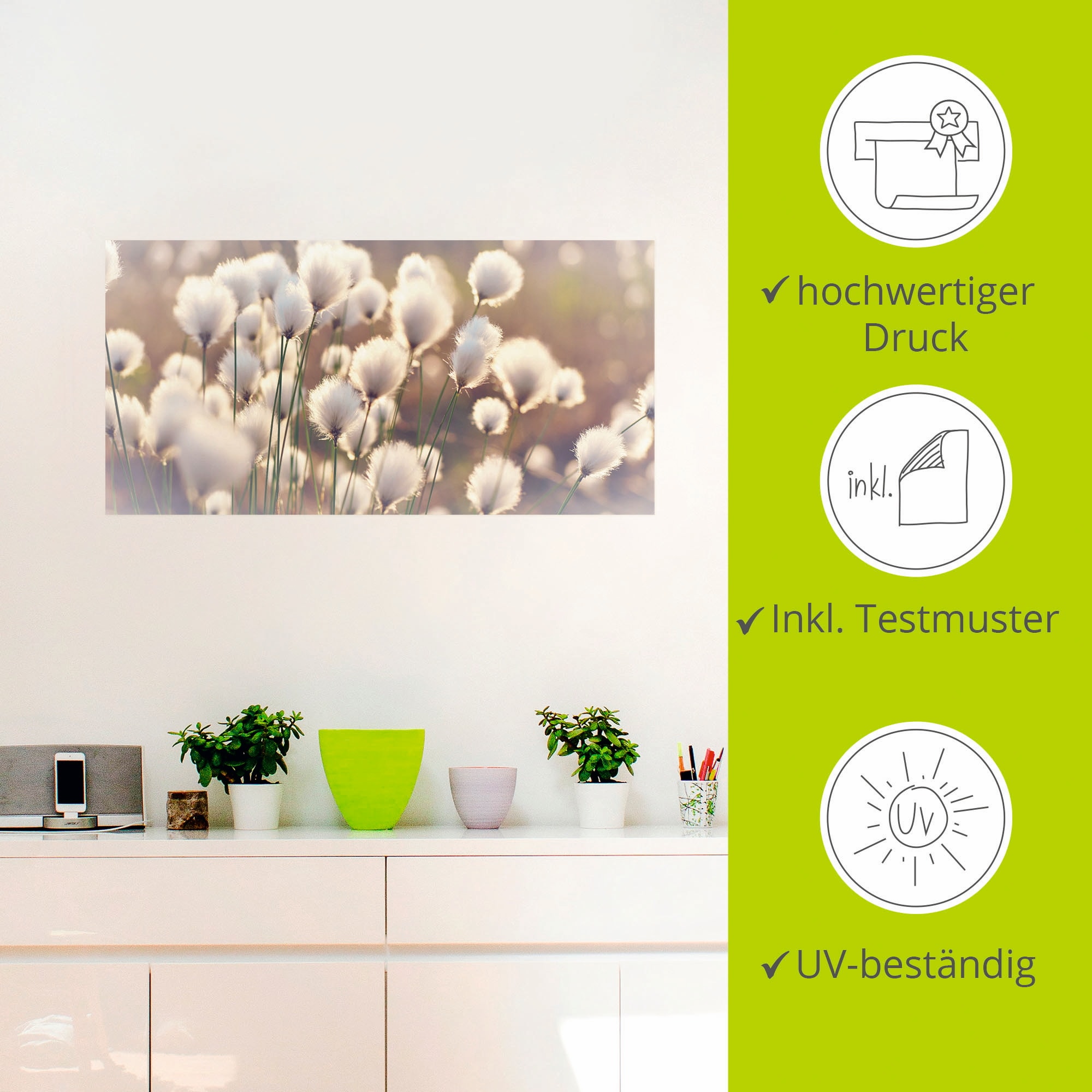 Artland Wandbild »Wollgraszauber im Moor«, Gräser, (1 St.), als Alubild, Outdoorbild, Leinwandbild, Poster, Wandaufkleber