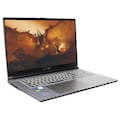 CAPTIVA Gaming-Notebook »Advanced Gaming I69-175«, 43,9 cm, / 17,3 Zoll, Intel, Core i5, GeForce RTX 3060, 1000 GB SSD