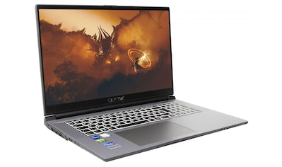 CAPTIVA Gaming-Notebook »Advanced Gaming I68-708CH«, (43,9 cm/17,3 Zoll), Intel, Core... kaufen