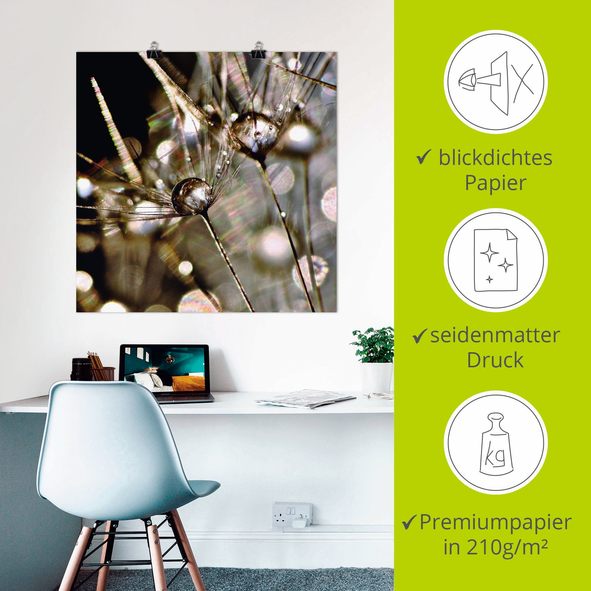 Artland Wandbild »Pusteblume abstrakt«, Blumen, (1 St.), als Leinwandbild, Poster, Wandaufkleber in verschied. Größen