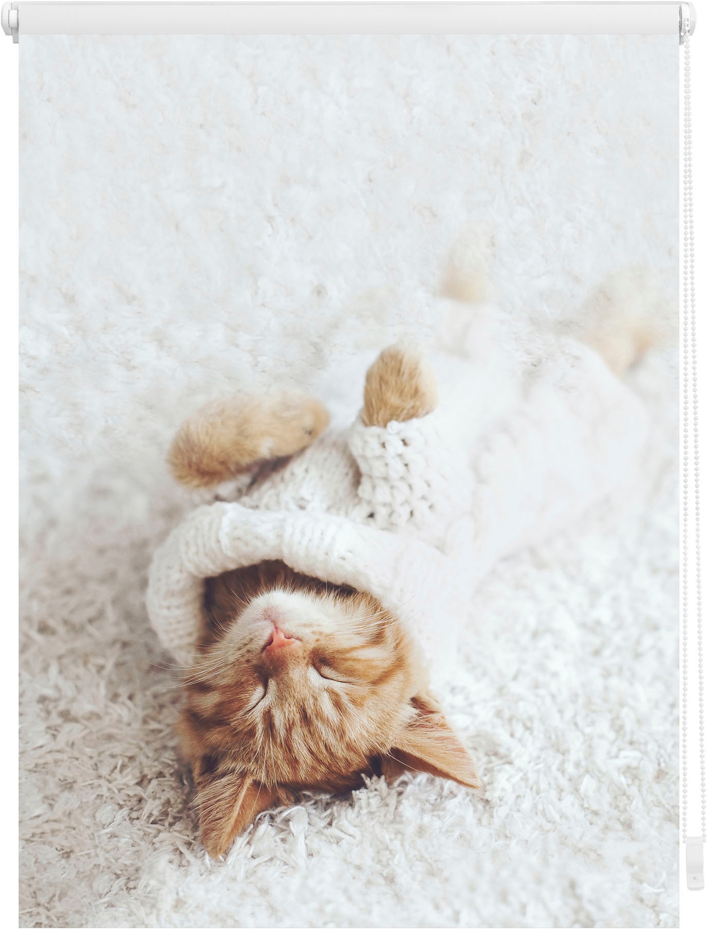 LICHTBLICK ORIGINAL Seitenzugrollo »Klemmfix Digital Sleepy Cat«, verdunkel günstig online kaufen