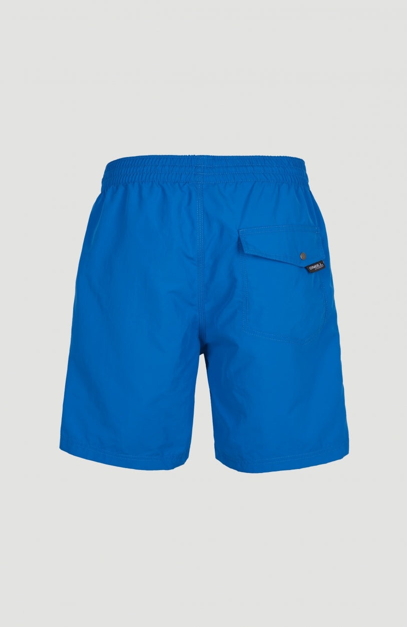 O'Neill Badeshorts »VERT SWIM SHORTS ESSENTIALS«