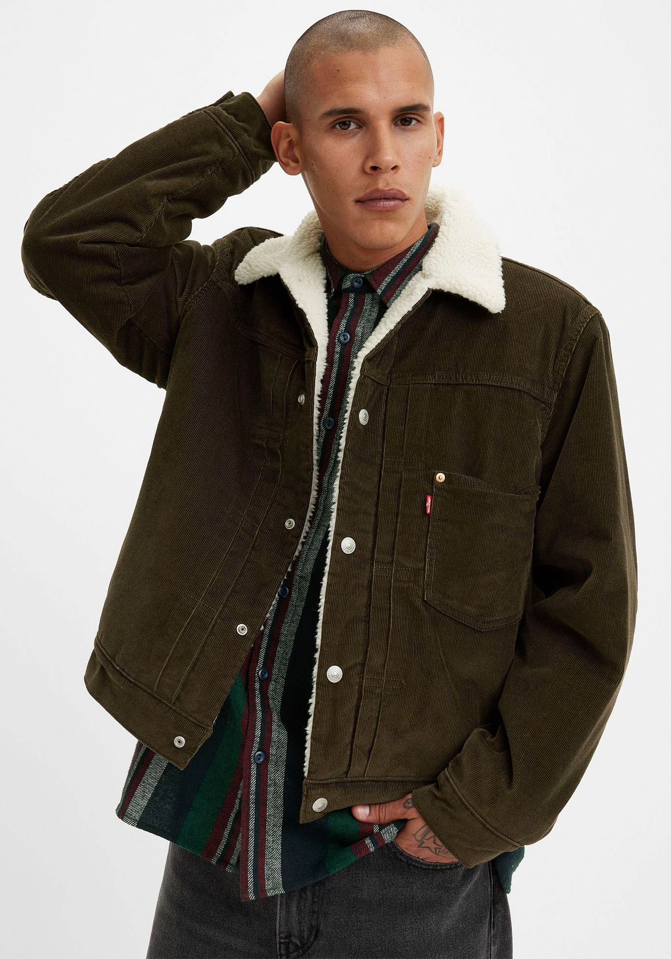 Levi's® Cordjacke »SHERPA TRUCKER«, mit warmem Sherpa-Futter