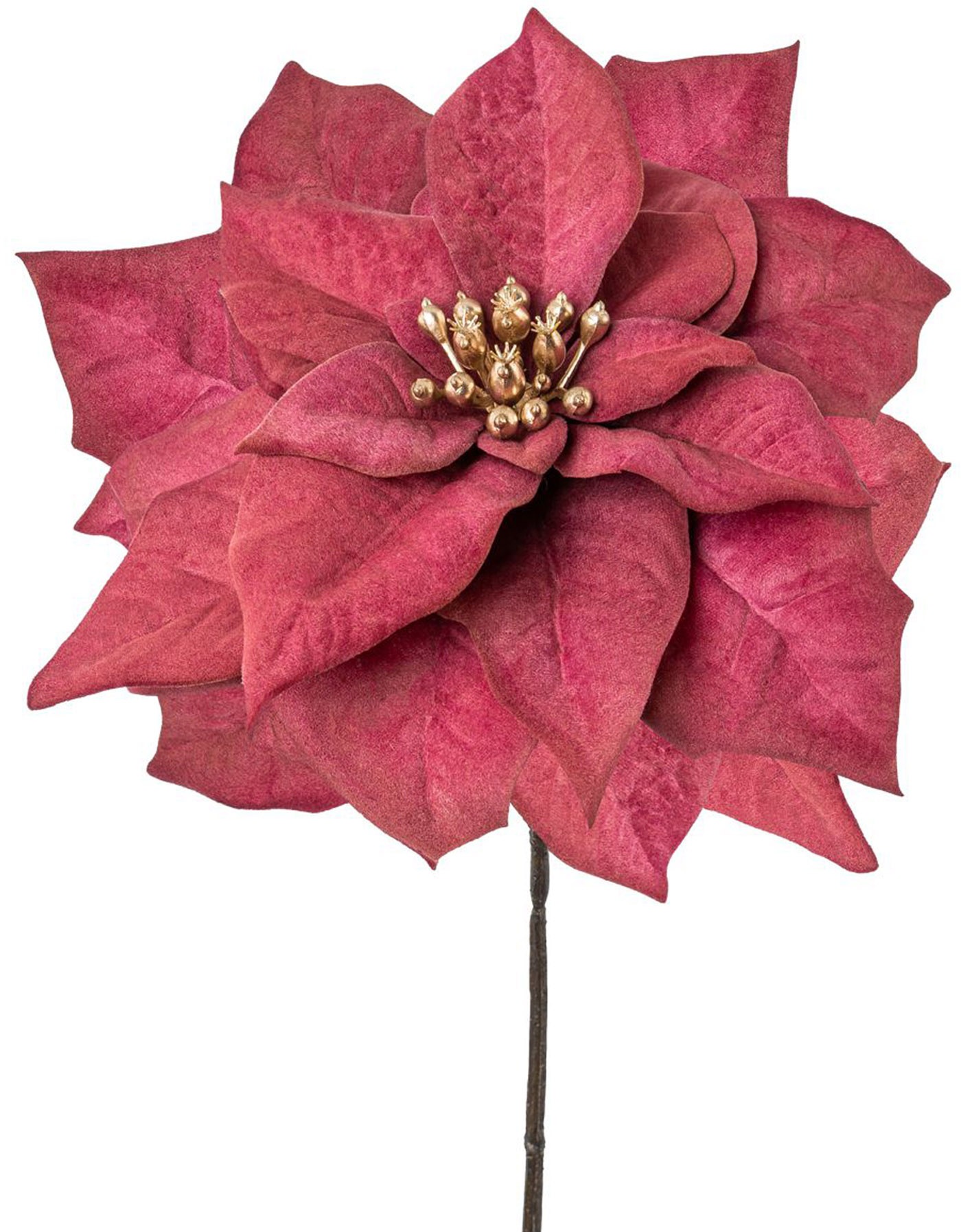 Creativ green Winterliche Kunstpflanze »Weihnachtsdeko rot«, mit goldfarbenfarbenem Blütenkelch, 6er-Set