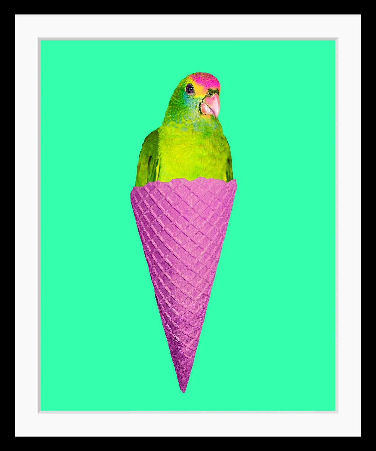 queence Bild »Merle« Eis   Foto   Kunst   Papageien   Süßigkeiten   Süßspei günstig online kaufen