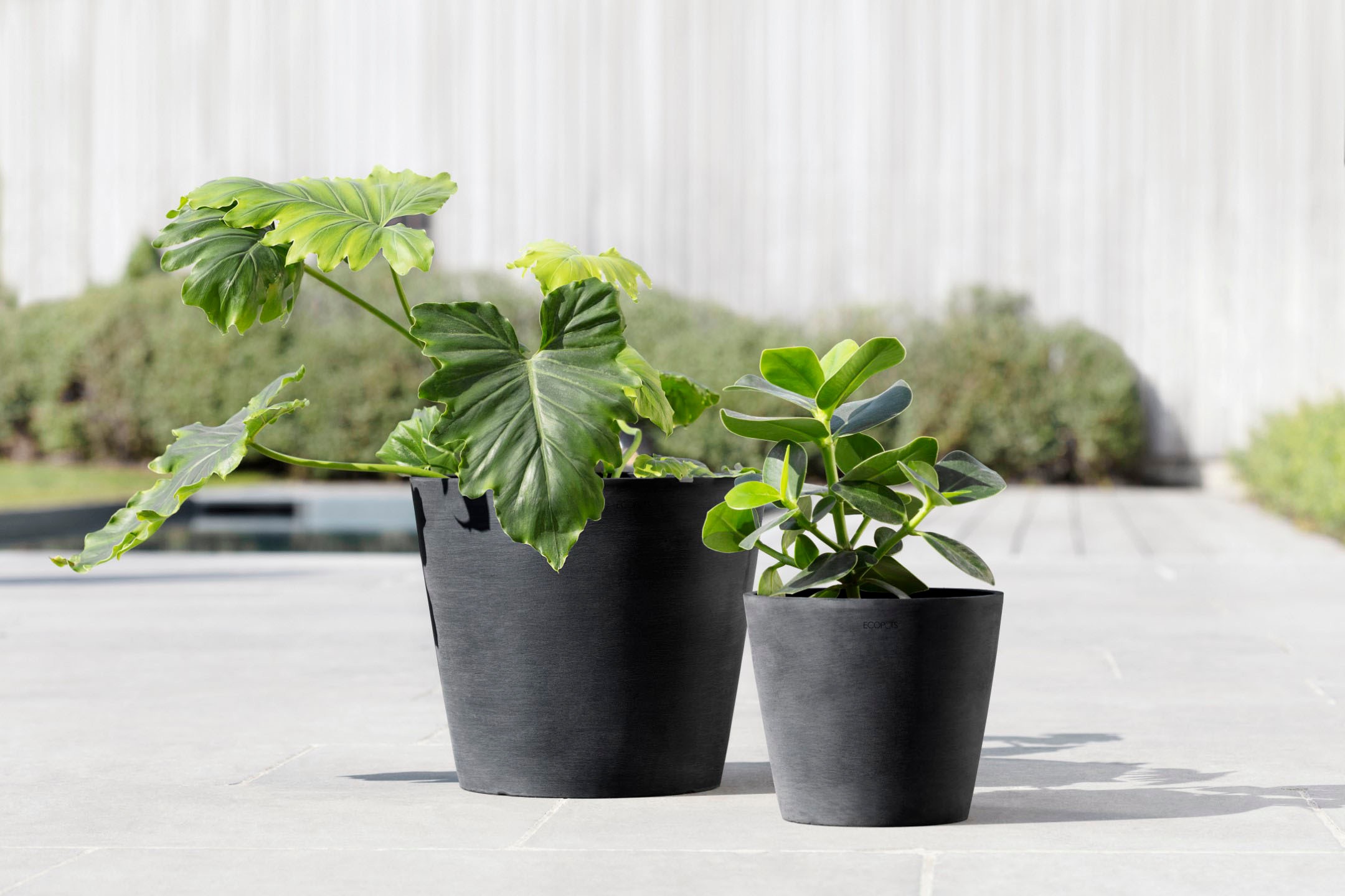 ECOPOTS Blumentopf »Amsterdam«, ØxH: 20x17,5 cm