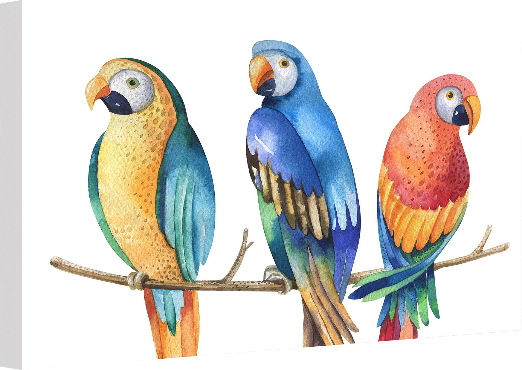 Wall-Art Leinwandbild »Kvilis - Bunte Papageien«