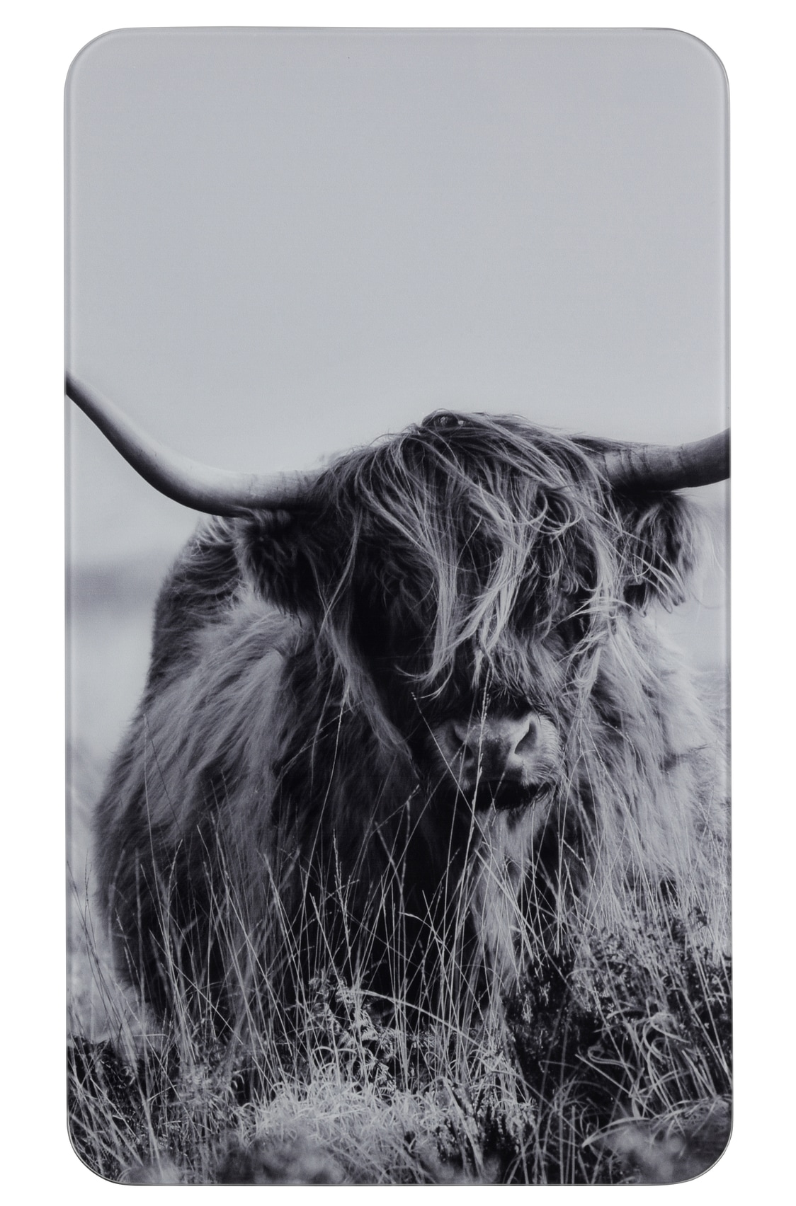 WENKO Herd-Abdeckplatte »Universal Modell Highland Cattle«, (Set, 2 tlg.), Herdabdeckung für alle Herdarten, kratzfest, mit rutschfesten Füßen