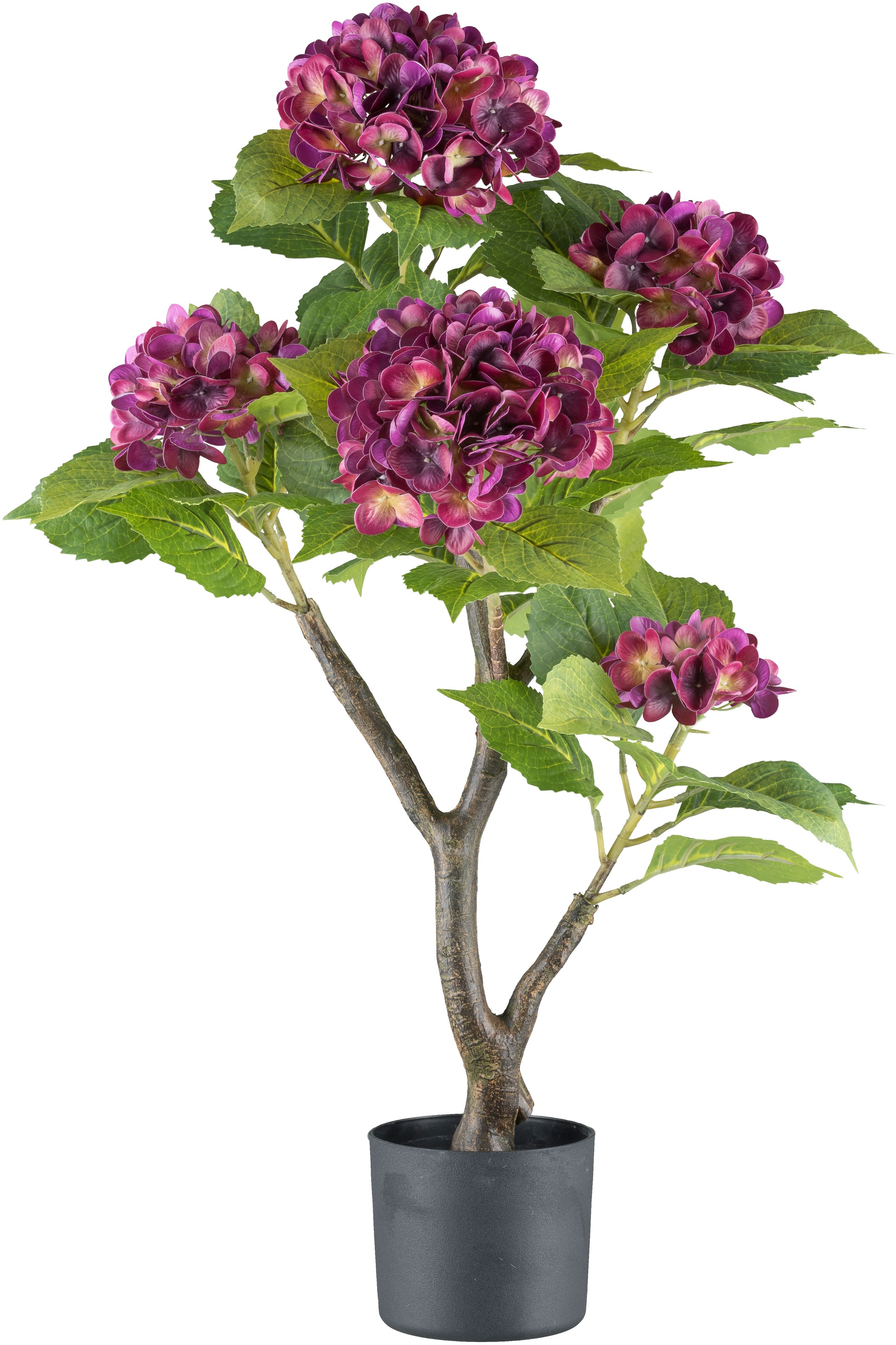 Creativ green Kunstblume »Hortensie«, mit real-touch-Blüten günstig online kaufen