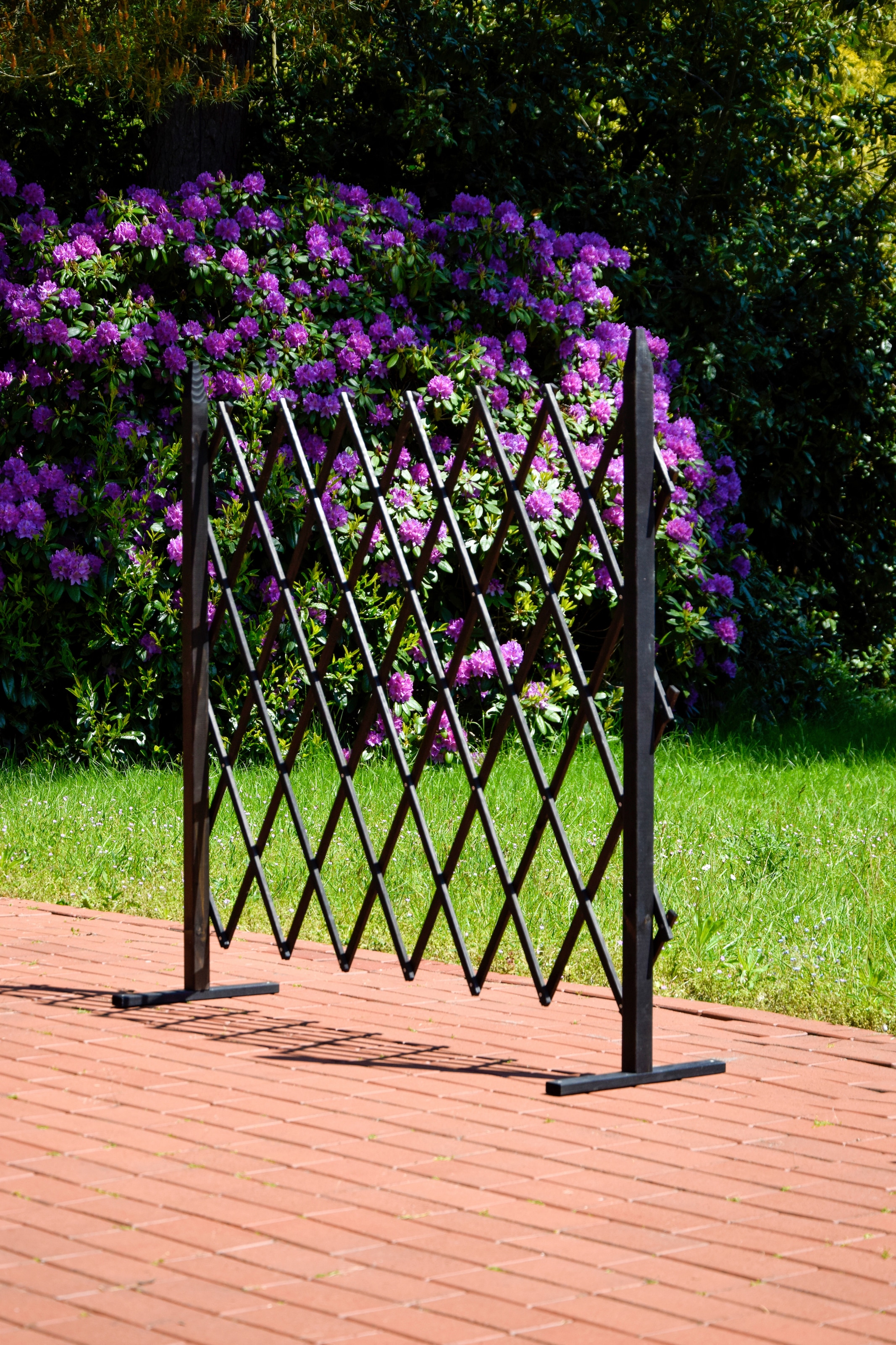 dobar Rankgitter »Gr. L«, faltbar, BxTxH: 160x35x120 cm