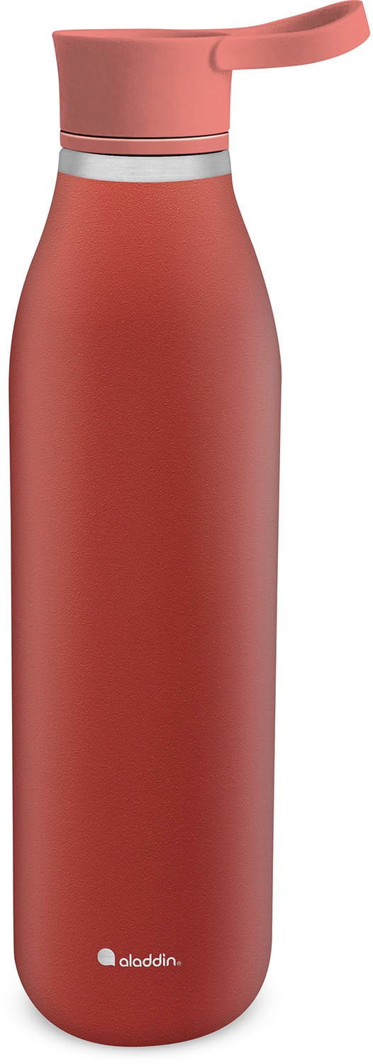 aladdin Trinkflasche »City Loop« Edelstahl, 600 ml