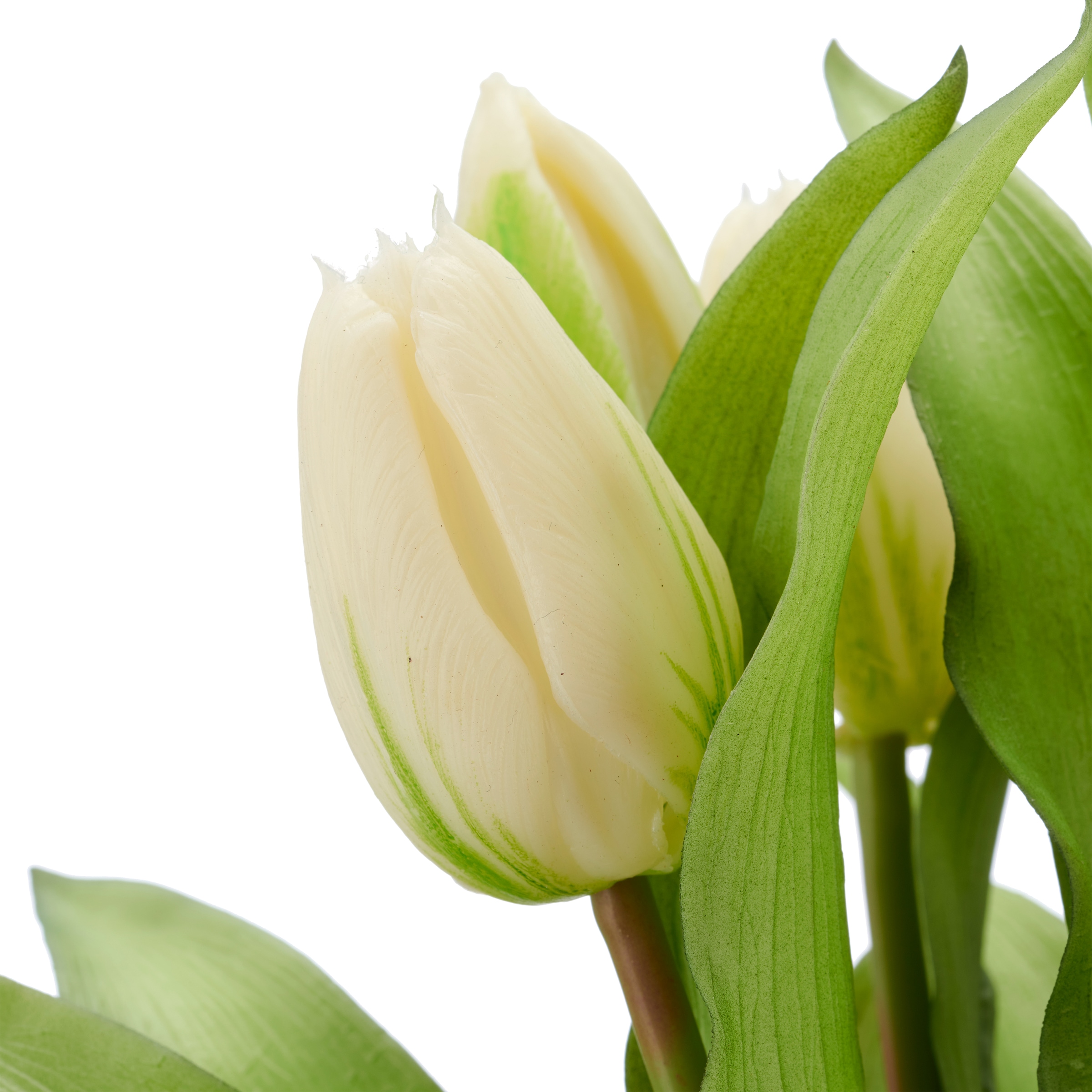 Creativ green Kunsttulpe »Tulpenbund« aus 7 Einzelstielen