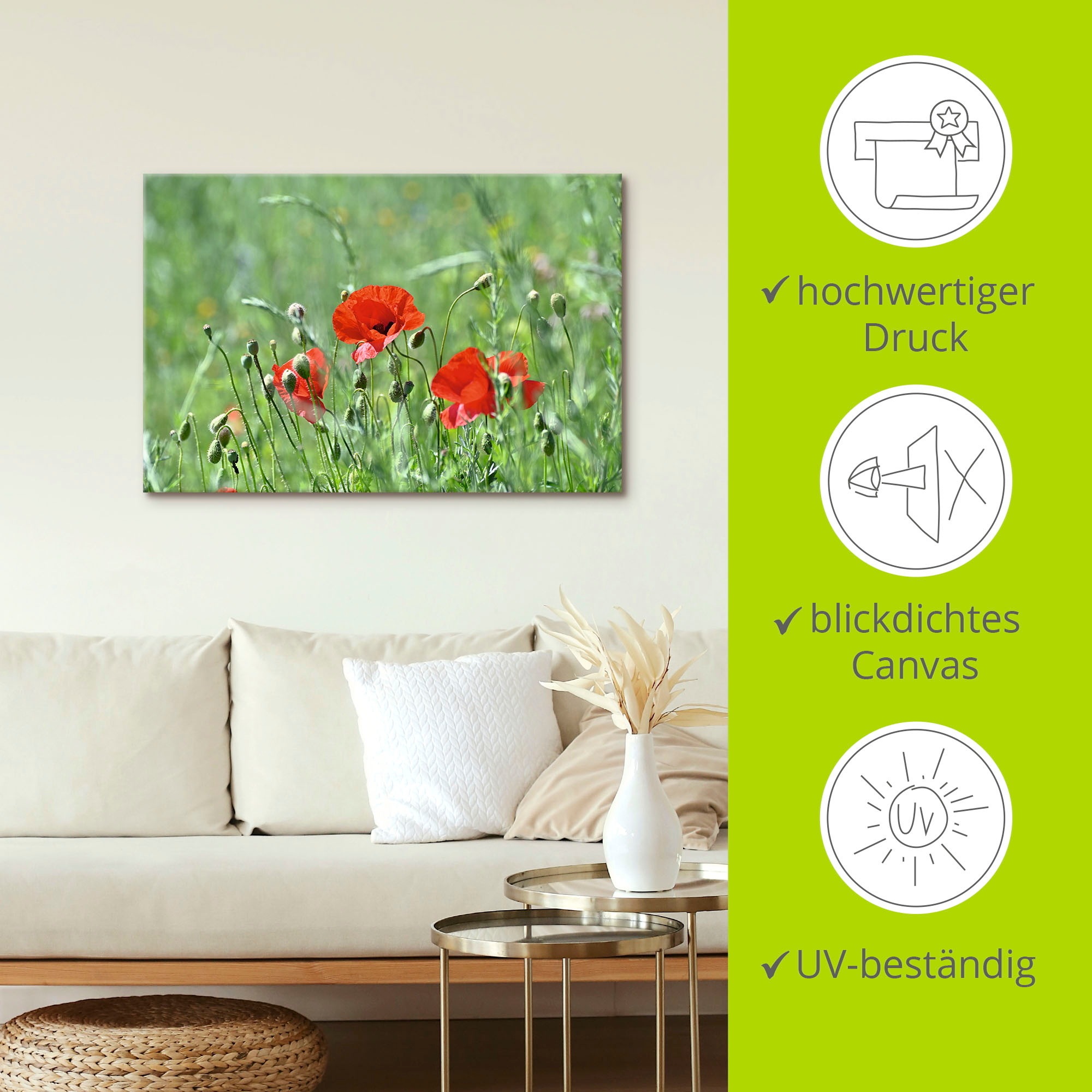 Artland Wandbild »Mohnblumen im Gras«, Blumenbilder, (1 St.), als Leinwandbild, Poster in verschied. Größen