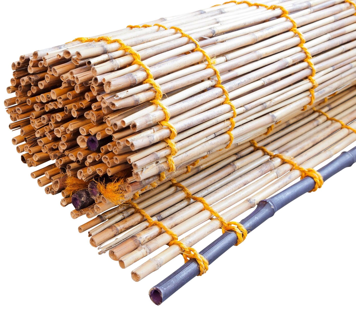 Windhager Sichtschutzzaunmatten naturbelassenes Schilf mit Bambus-Verstärkung, L: 1,8 m