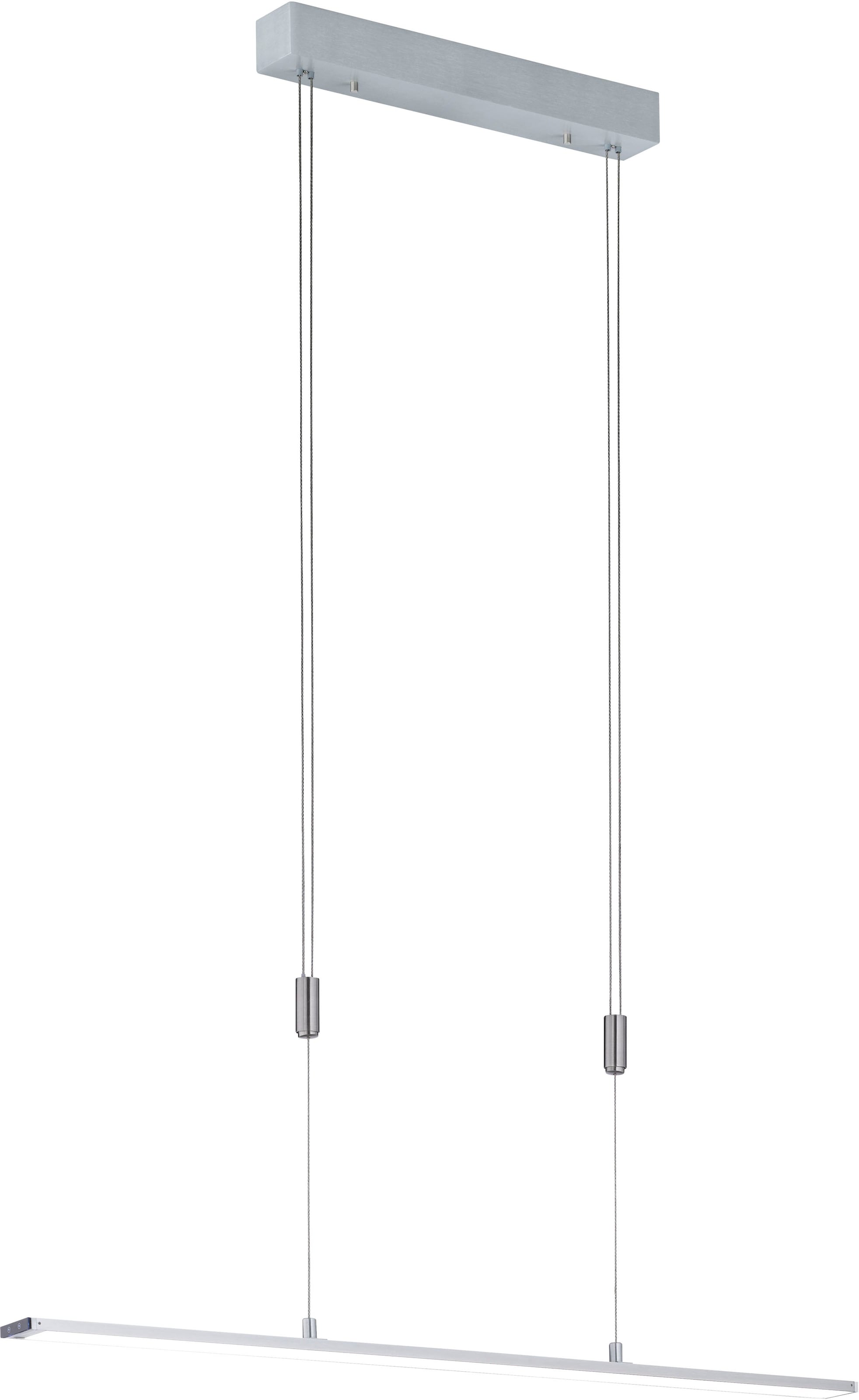 FISCHER & HONSEL Pendelleuchte »Metz«, Leuchtmittel LED-Modul   LED wechsel günstig online kaufen