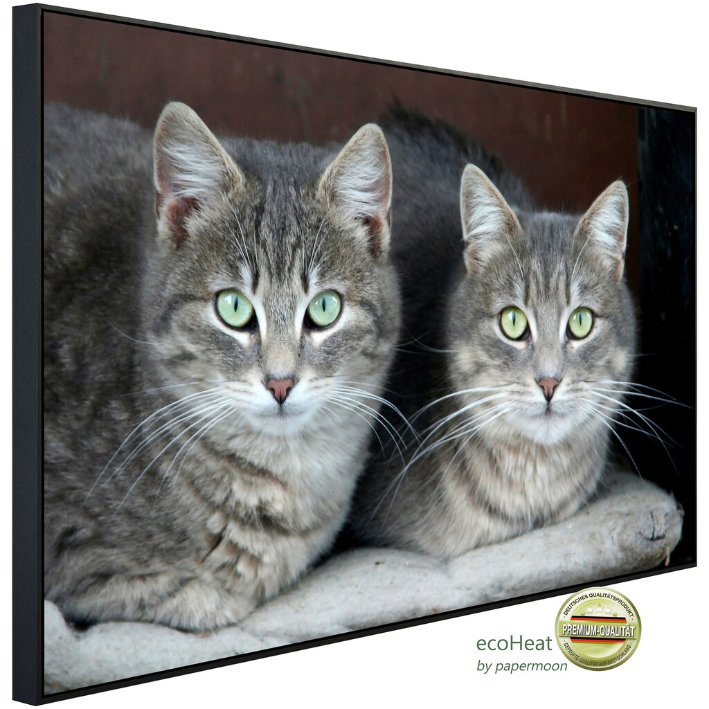 Papermoon Infrarotheizung »Grüne Augen Katzen«