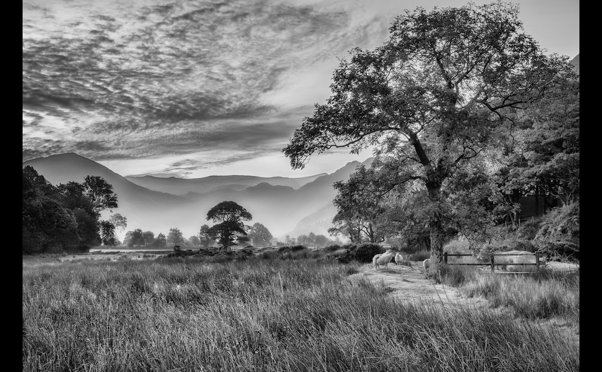 Papermoon Fototapete »Landschaft Schwarz & Weiß« günstig online kaufen