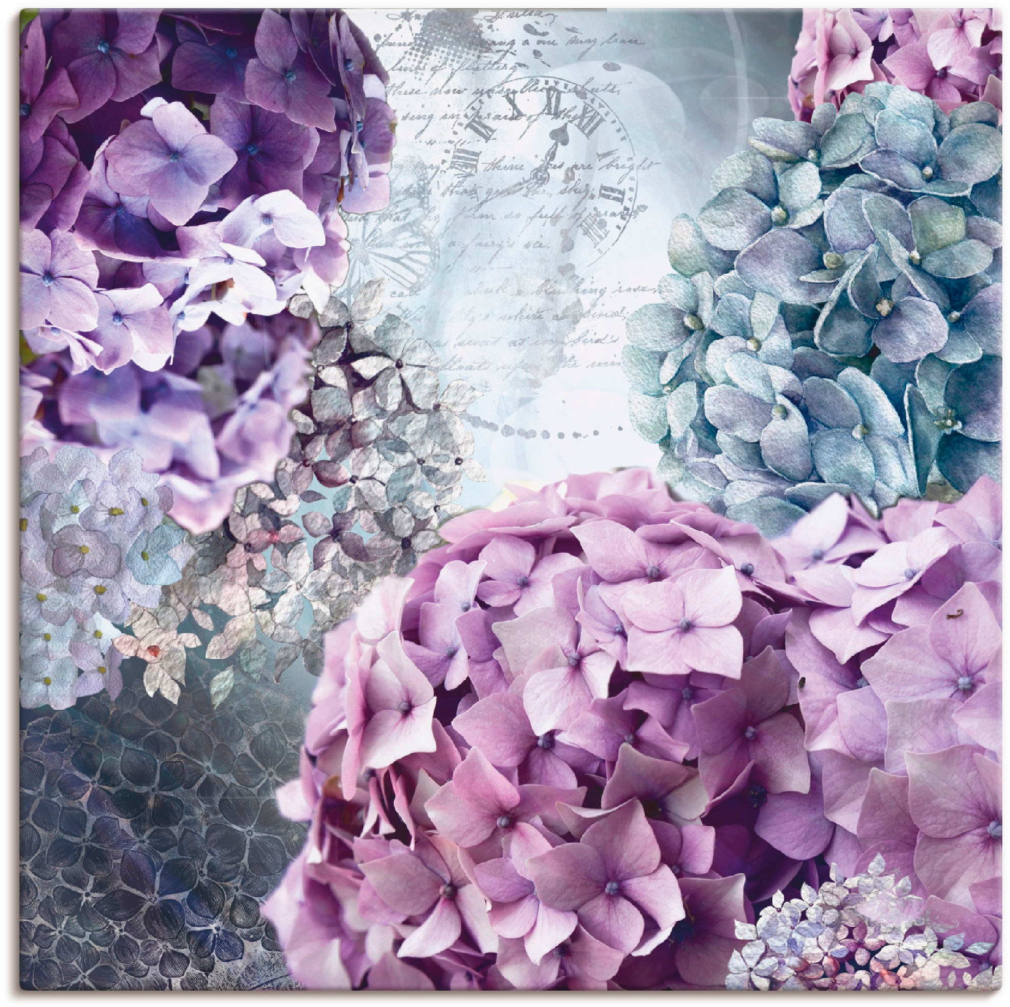Artland Wandbild »Blau und Grau Hortensie«, Blumen, (1 St.), als Alubild,  Leinwandbild, Wandaufkleber oder Poster in versch. Größen online kaufen