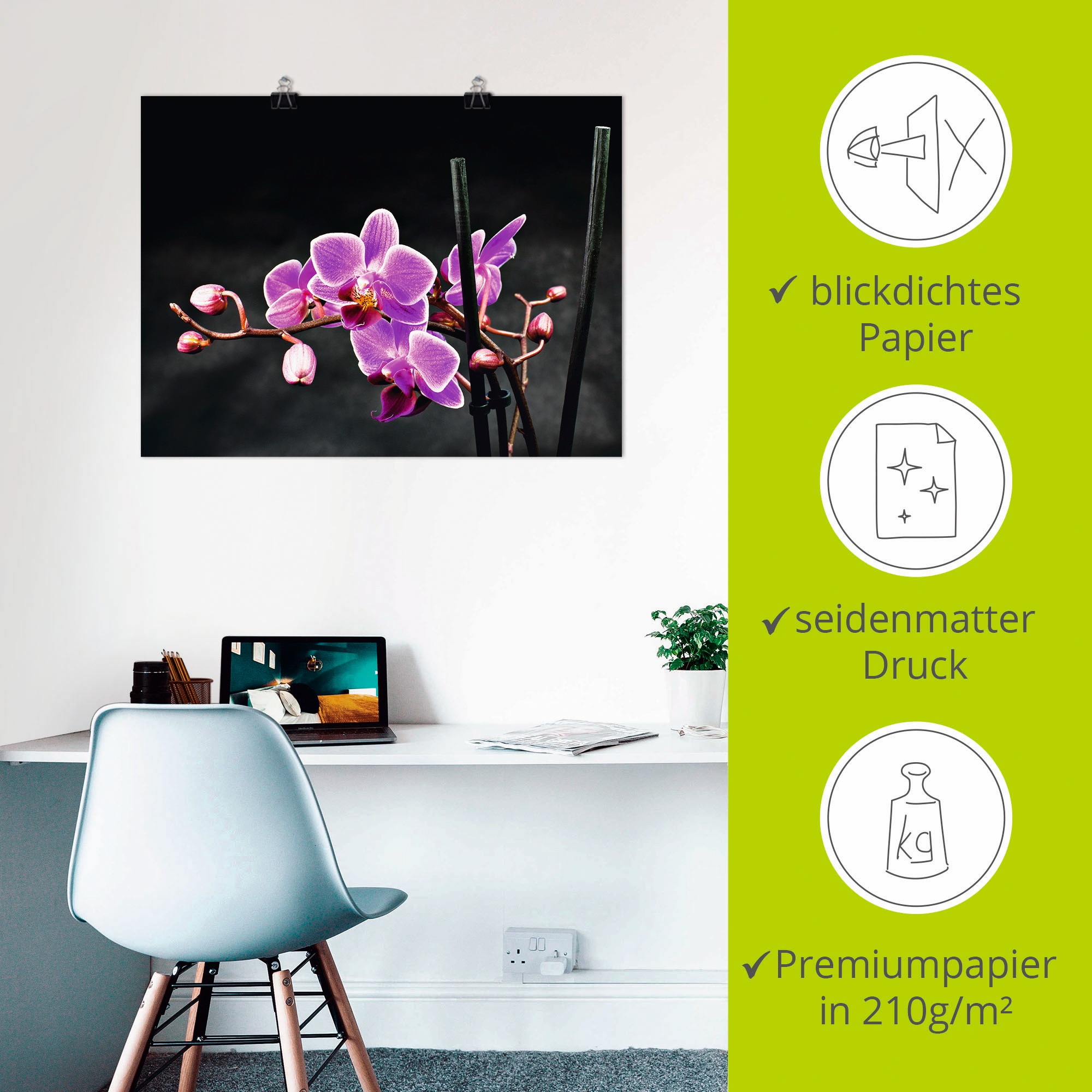 Artland Wandbild »Eine Orchidee vor schwarzem Hintergrund«, Blumen, (1 St.), als Leinwandbild, Poster, Wandaufkleber in verschied. Größen