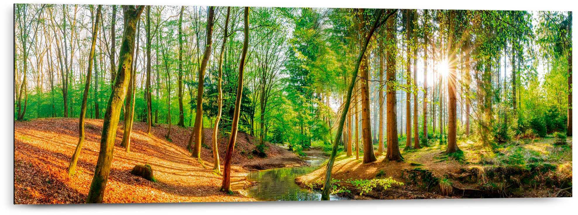 Reinders! Deco-Panel »Sonniger Wald« günstig online kaufen