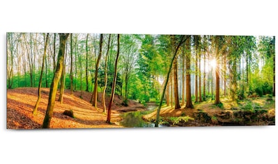 Reinders! Poster »Sonniger Wald« auf Rechnung kaufen