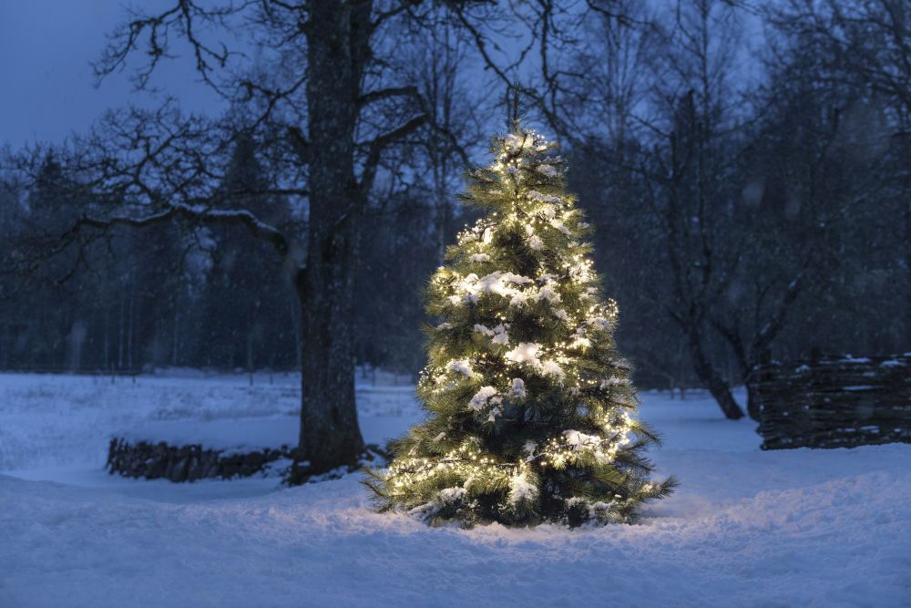 KONSTSMIDE LED-Lichterkette »Weihnachtsdeko aussen« mit 8 Funktionen, Steuergerät, Memoryfunktion , 2016 warm weiße Dioden