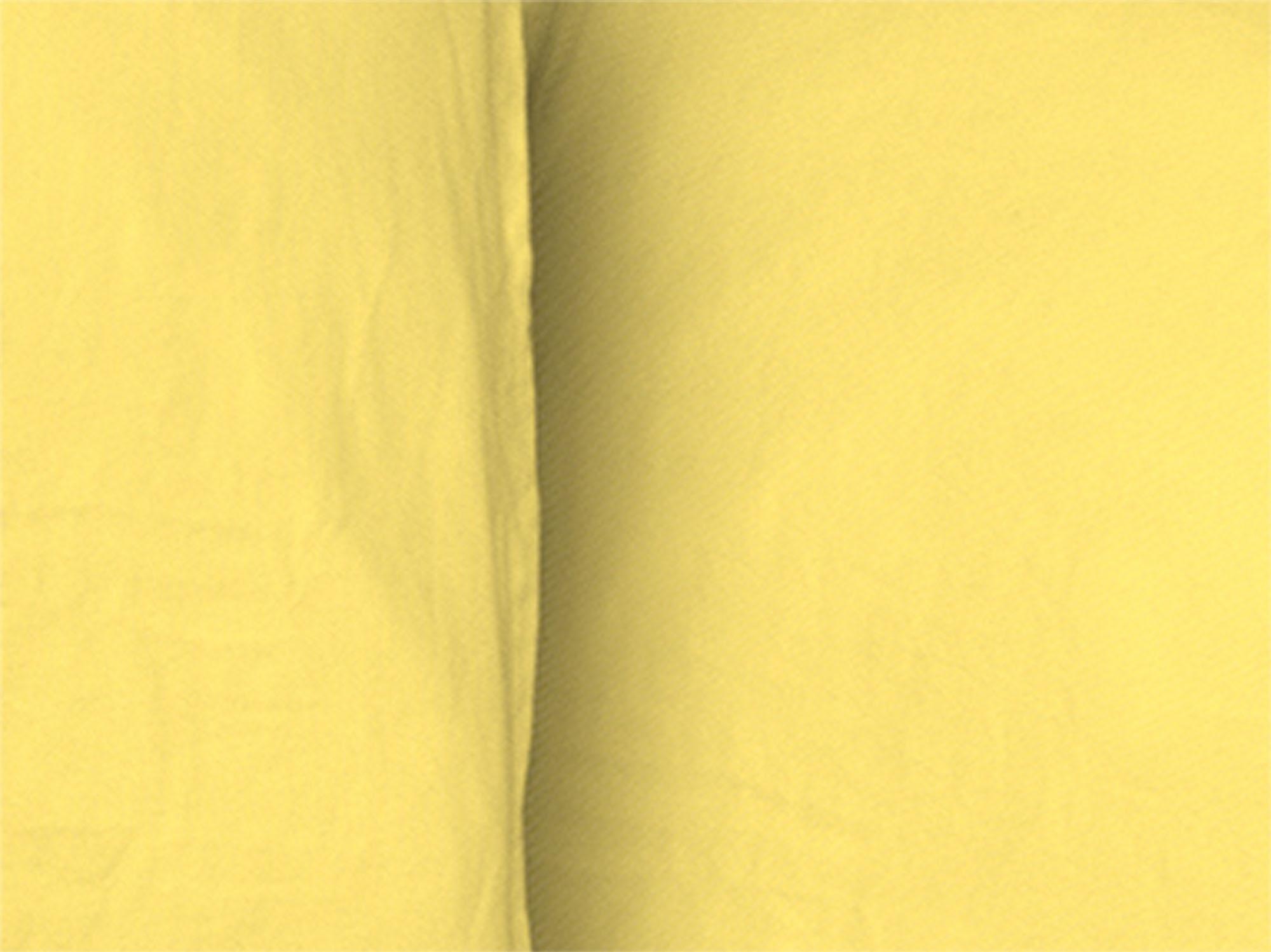 Adam Bettwäsche »Uni Collection light« 2 Stk. tlg. aus 100 % Bio-Baumwolle, 2 teilig - Bettwäsche Set