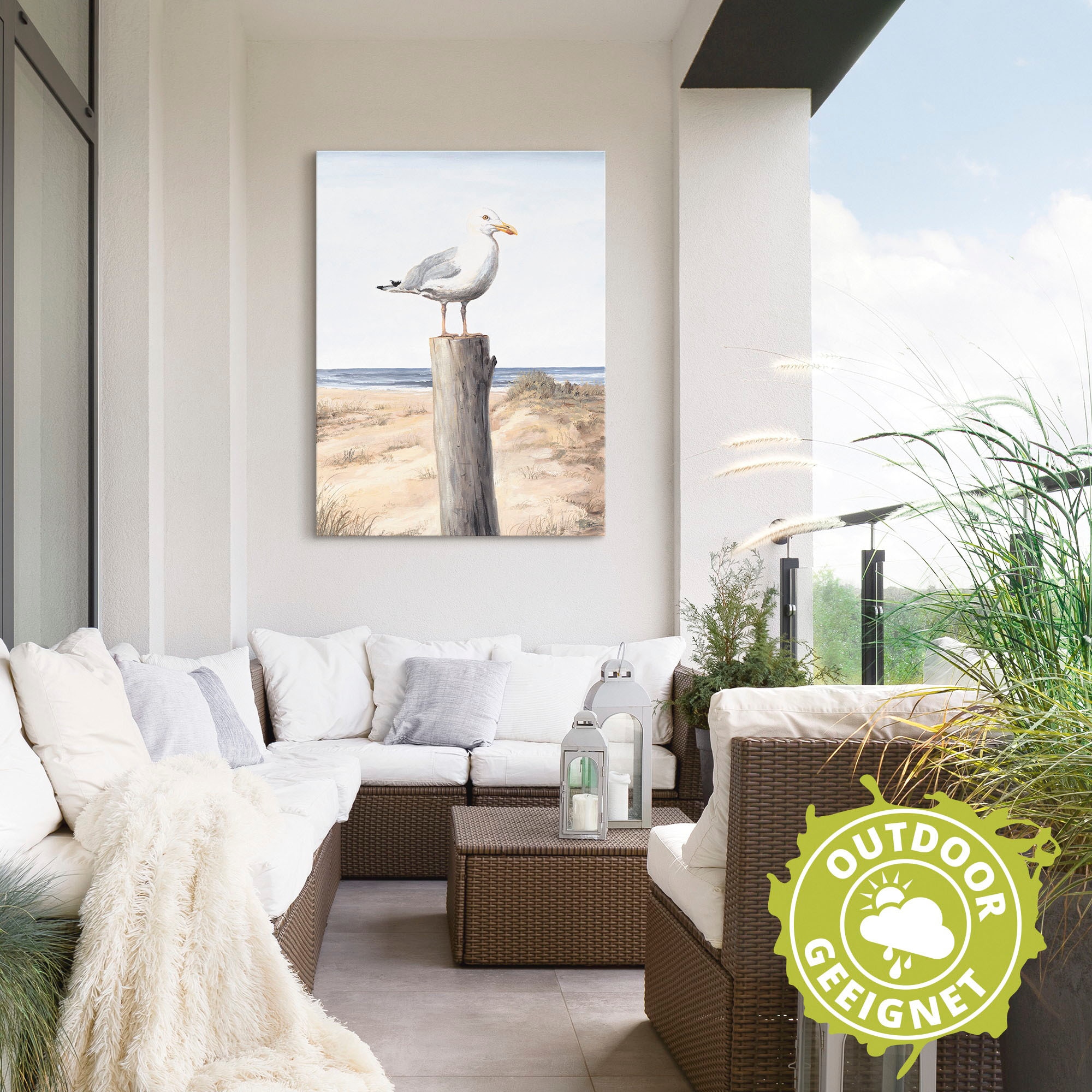 Artland Wandbild »Möwe«, Vögel, (1 St.), als Alubild, Outdoorbild, Leinwandbild, Poster, Wandaufkleber