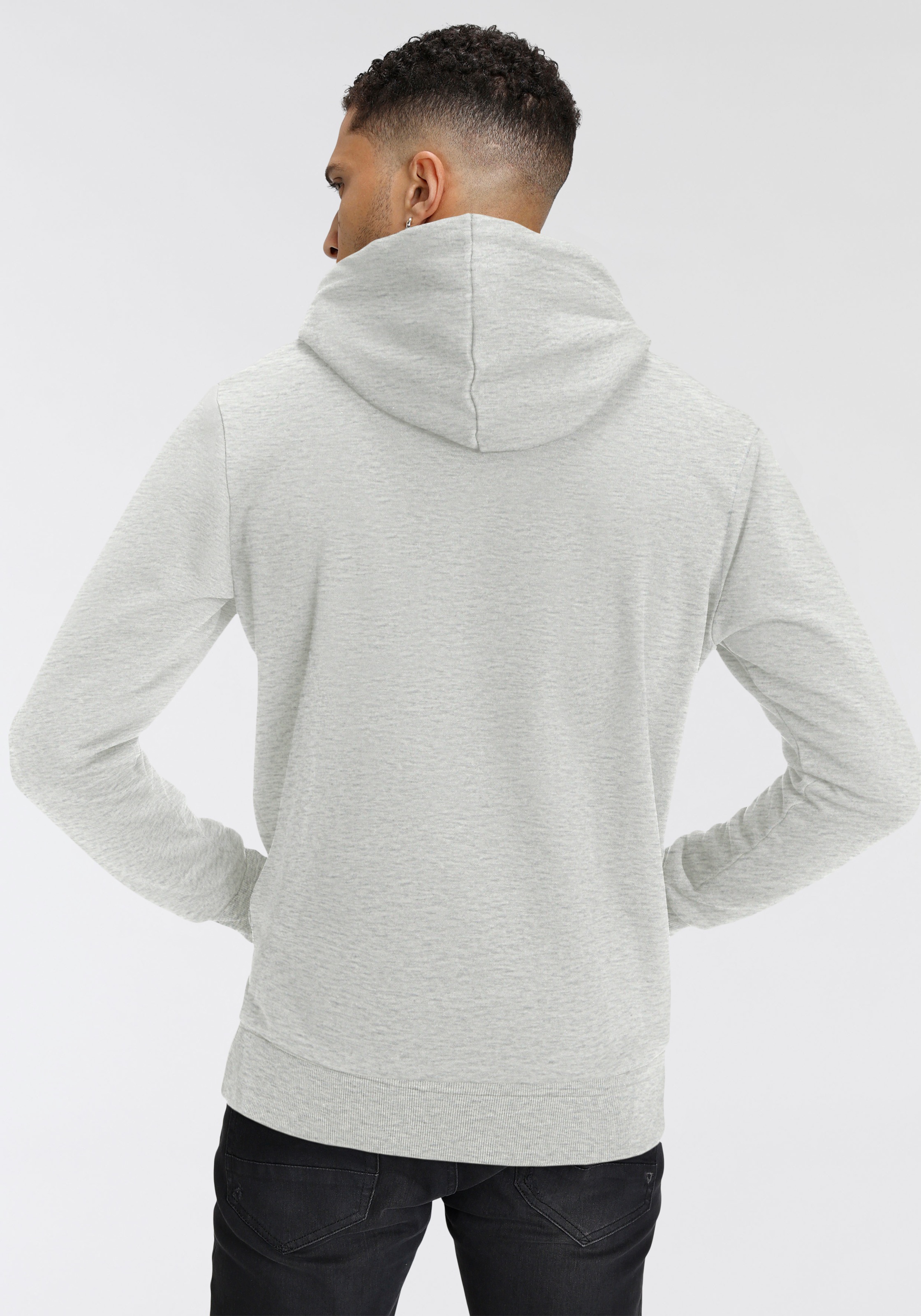 Jack & Jones Kapuzensweatshirt »JJLOYD SWEAT HOOD«
