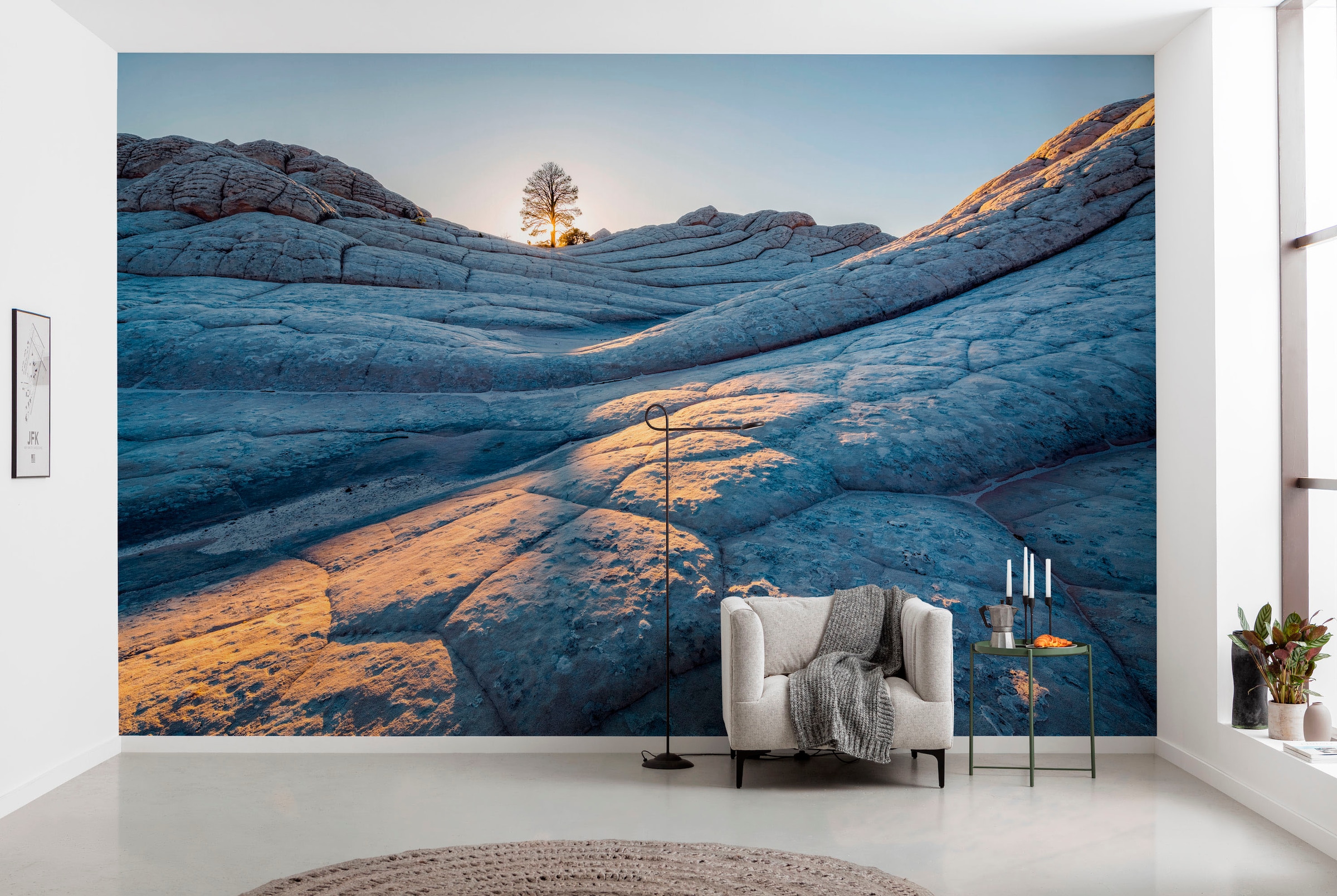 Komar Fototapete »Digitaldruck Vlies - Elephant Skin - Größe 400 x 250 cm« günstig online kaufen