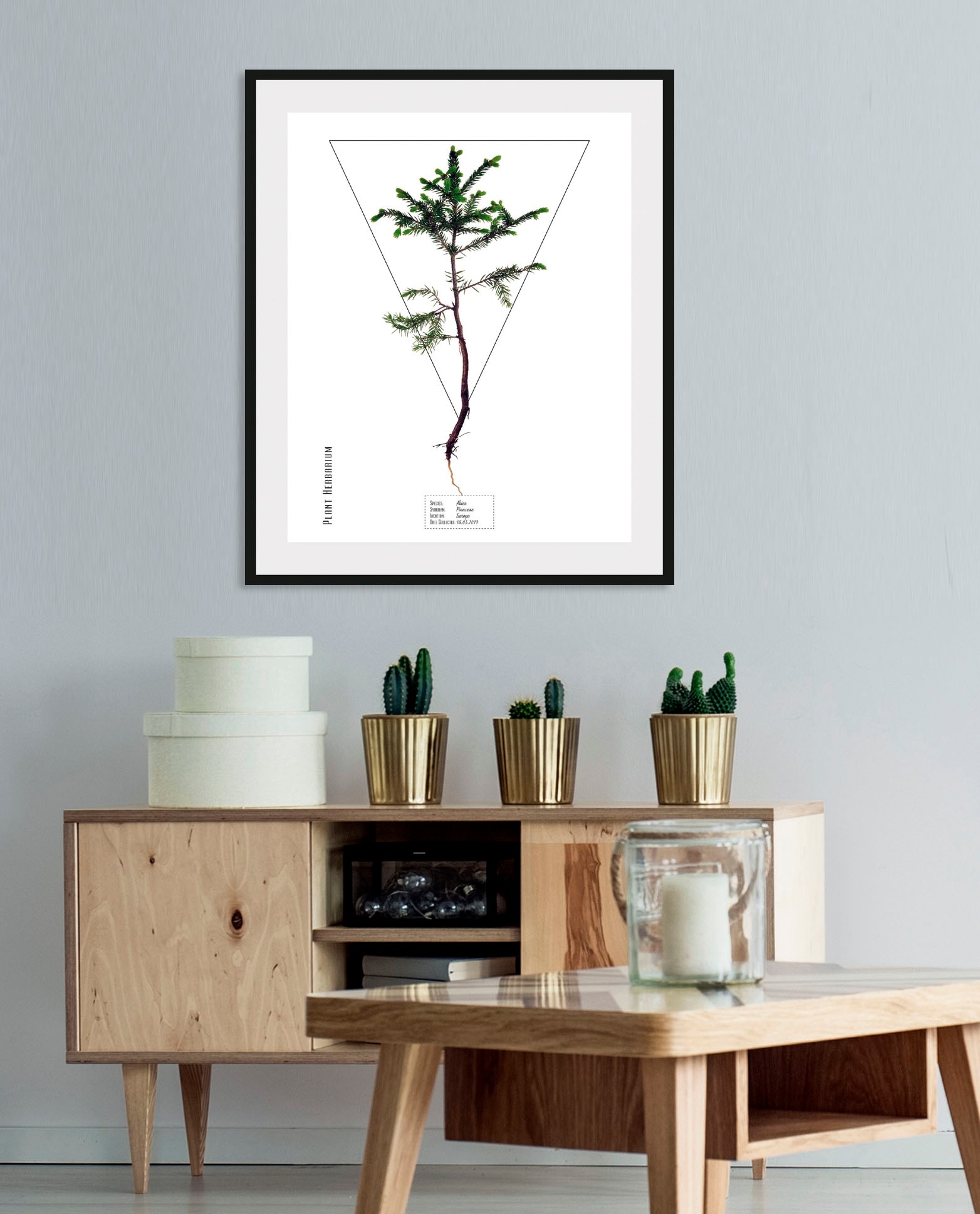 queence Bild »Abies« 1 Stk. tlg. günstig online kaufen