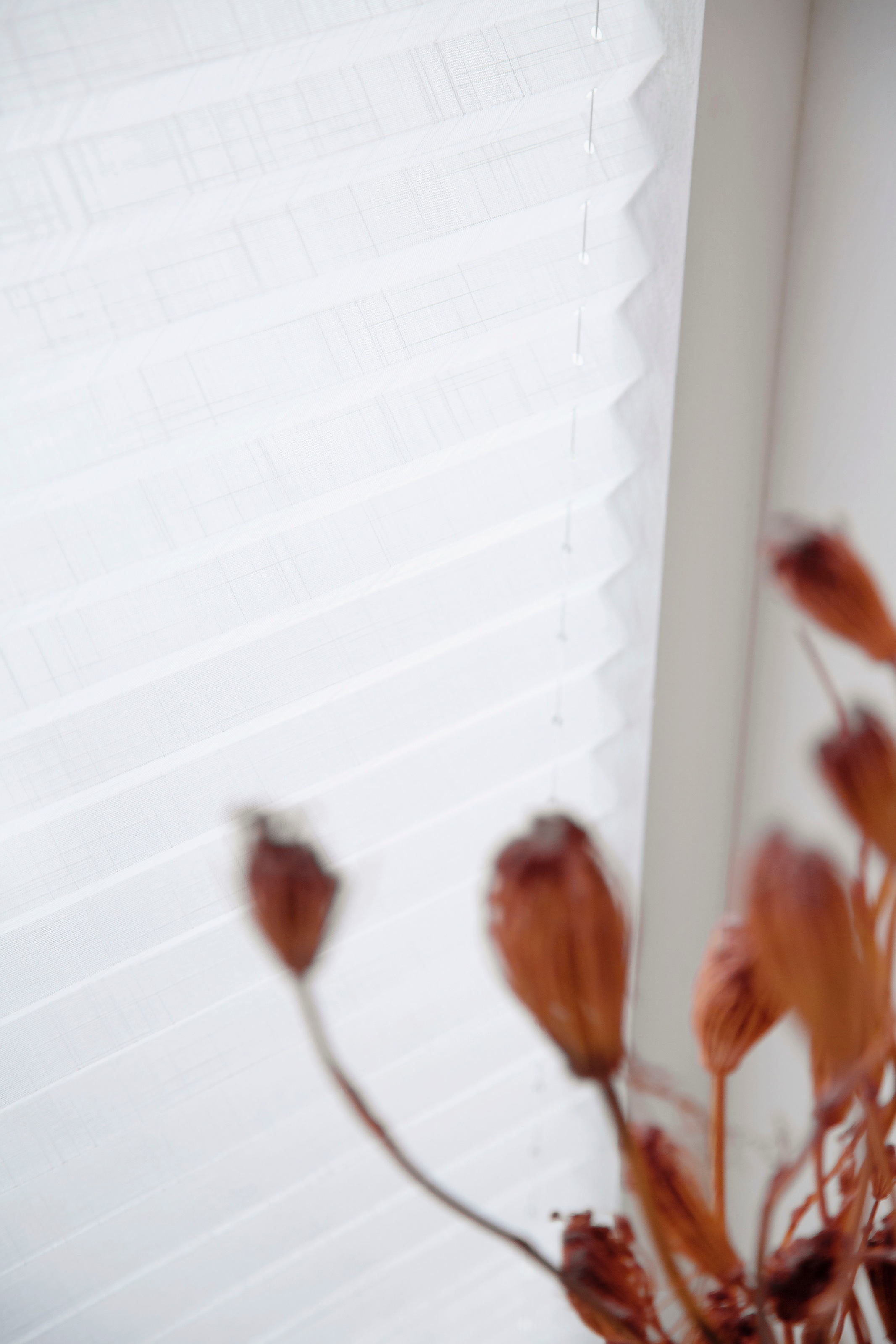 SCHÖNER WOHNEN-Kollektion Plissee »Marla«, blickdicht, mit Bohren, verspannt, verschraubt, mit Leinen-Optik