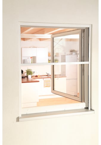 Insektenschutzrollo »SMART«, transparent, für Fenster, weiß/anthrazit, BxH: 80x160 cm