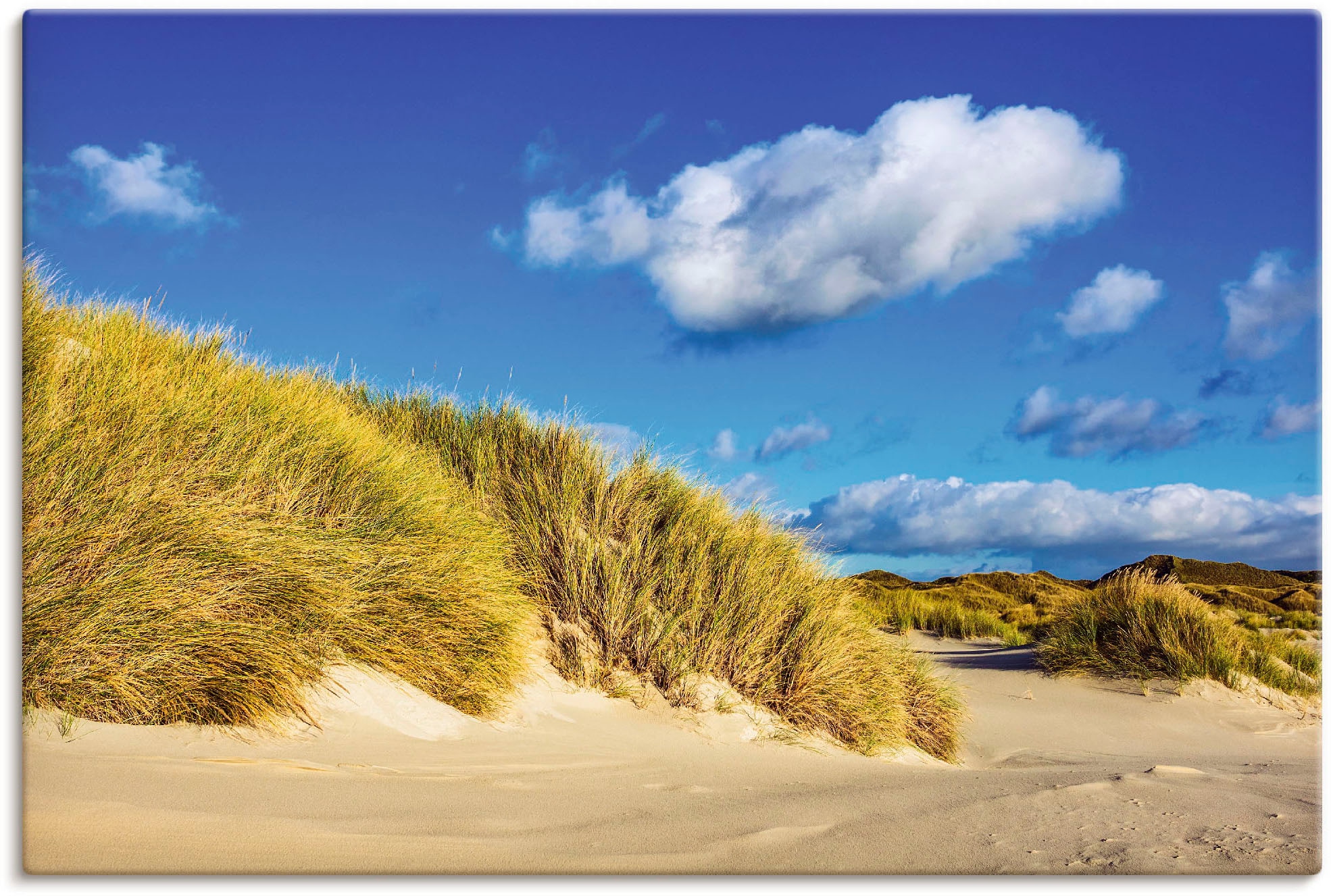 Artland Leinwandbild »Landschaft mit Dünen Insel Amrum«, Strandbilder, (1 S günstig online kaufen