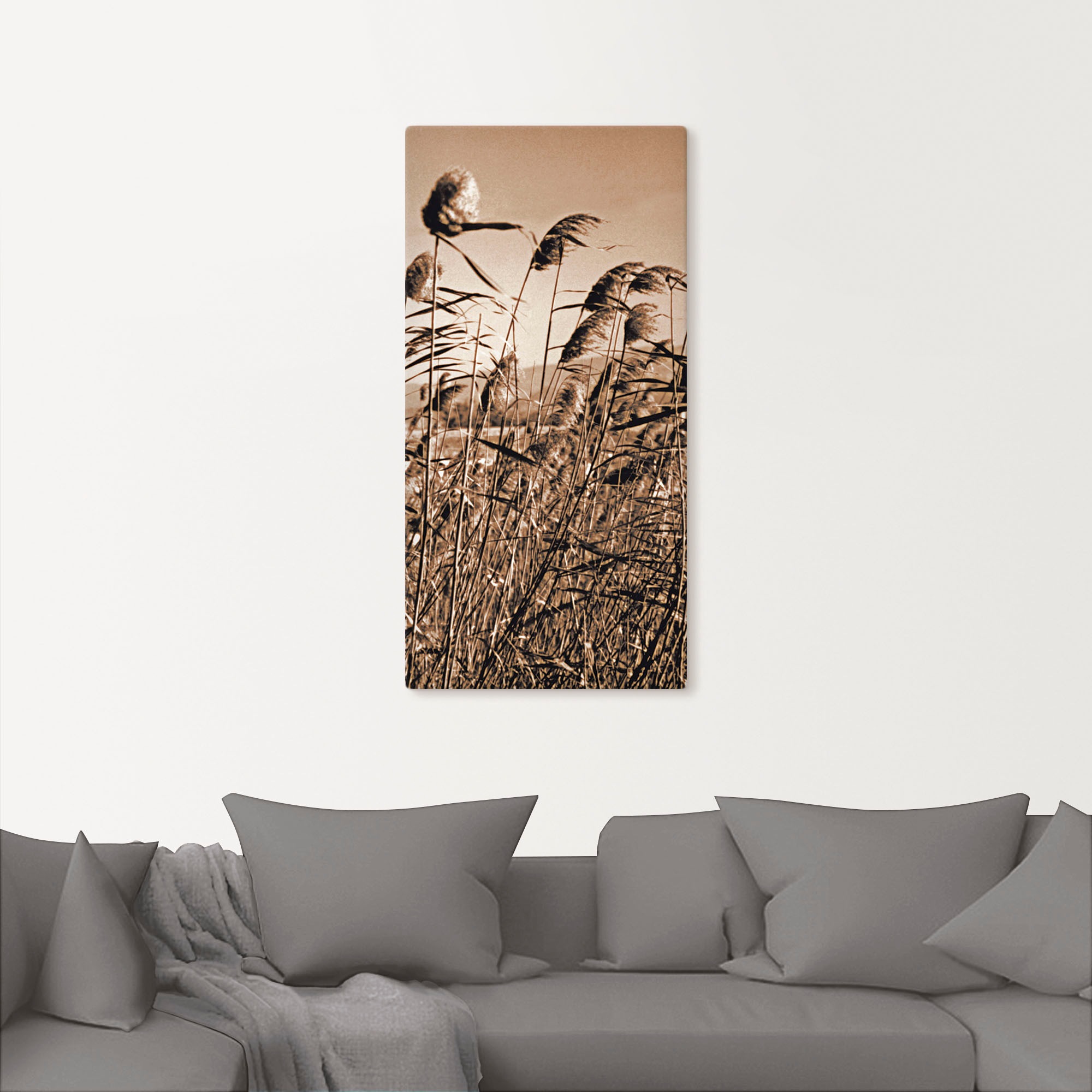 Artland Wandbild »Sepia Gräser II« Gräser 1 Stk. tlg. auf Holzrahmen gespan günstig online kaufen