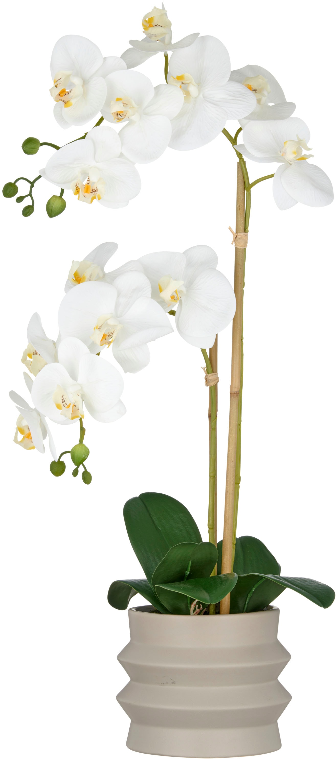 Creativ green Kunstorchidee »Orchidee Phalaenopsis«, im Design-Topf günstig online kaufen
