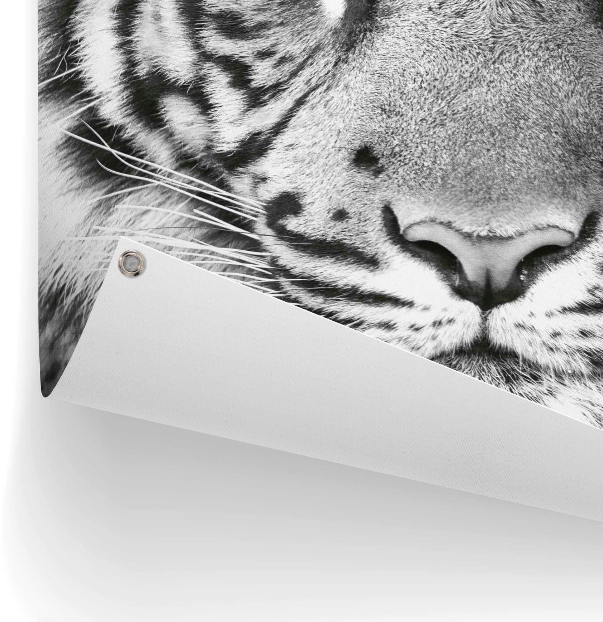 Reinders! Poster »Tigerblick«