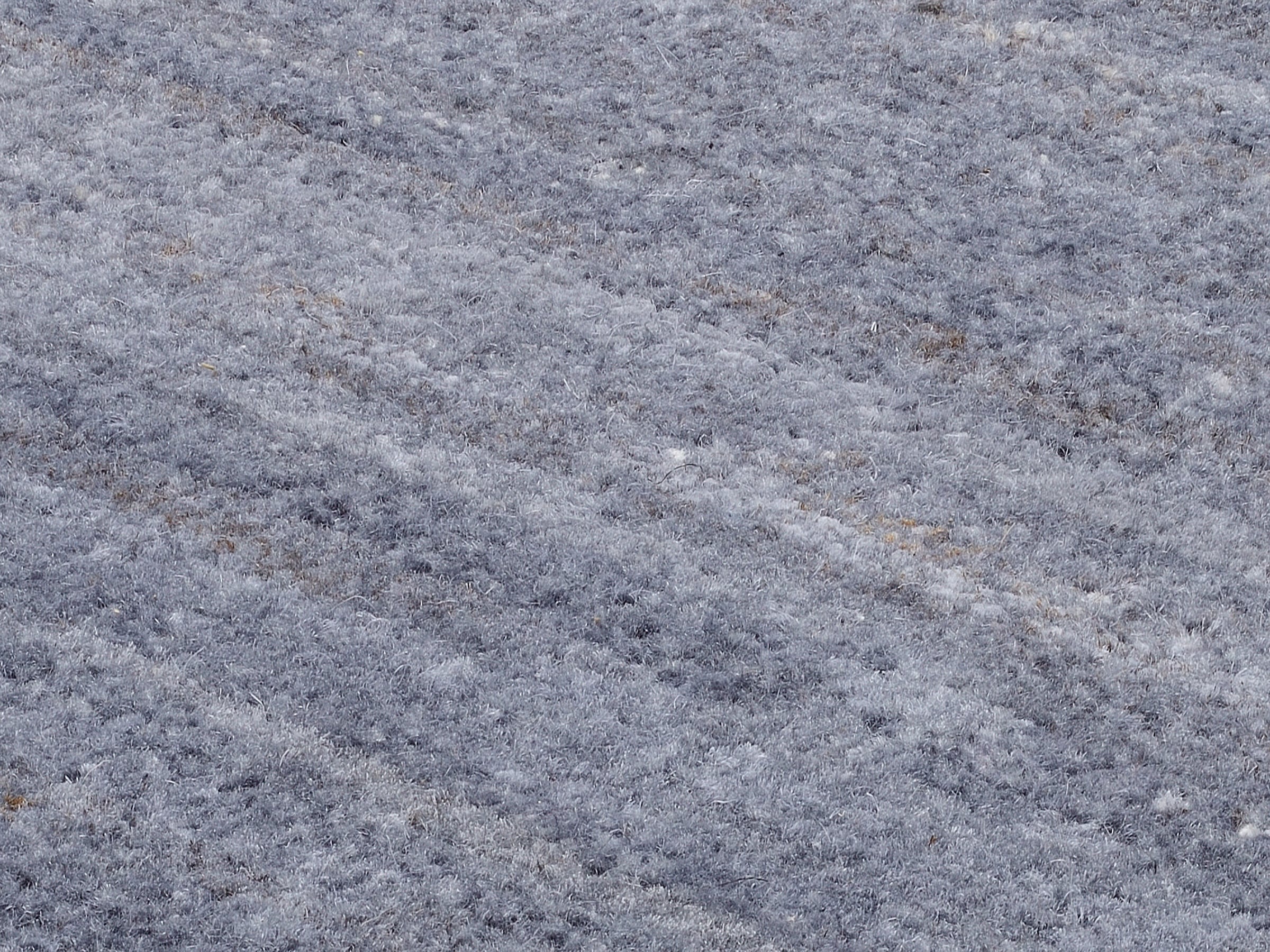 OCI DIE TEPPICHMARKE Teppich »HIMALI UNI«, rechteckig, 5 mm Höhe, handgeknüpft, hochwertige Wolle, fußwarm, Wohnzimmer