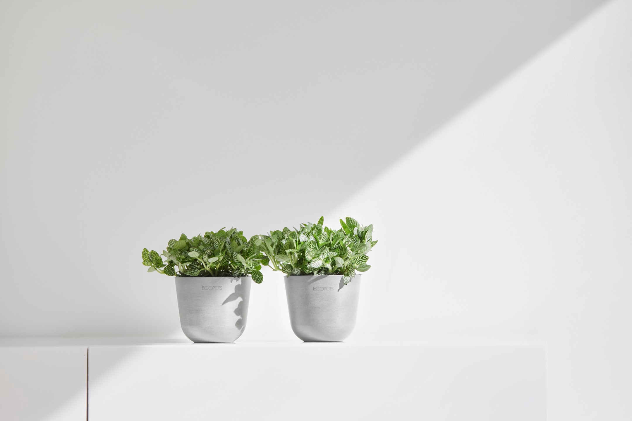 ECOPOTS Blumentopf »Oslo Mini 11,5 Weißgrau« für den Innenbereich