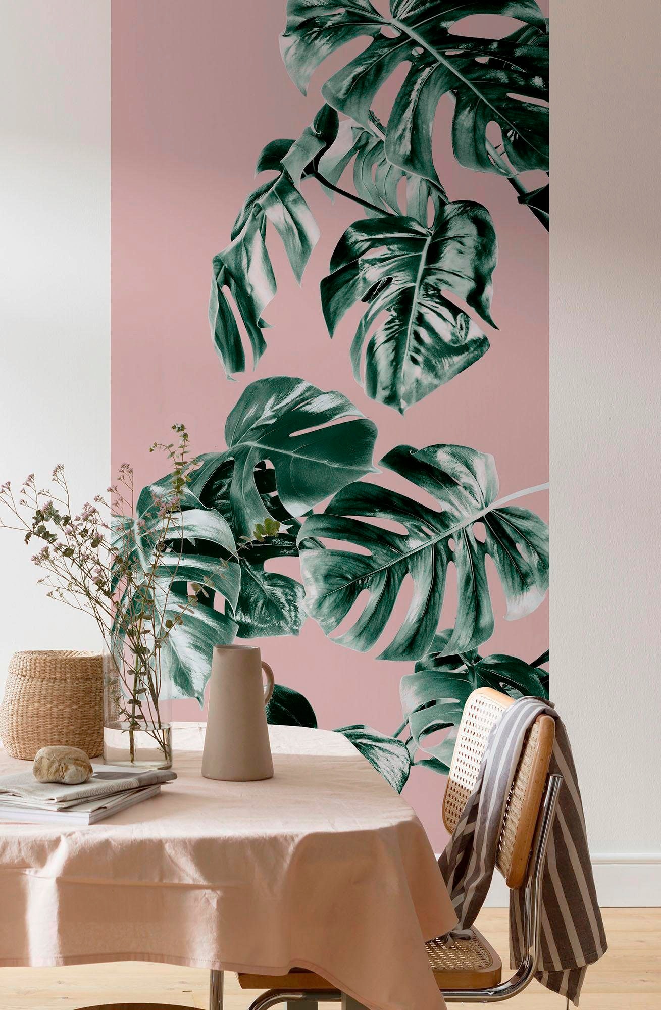 Komar Fototapete Monstera Rosé Panel B/L: ca. 100x250 cm günstig online kaufen