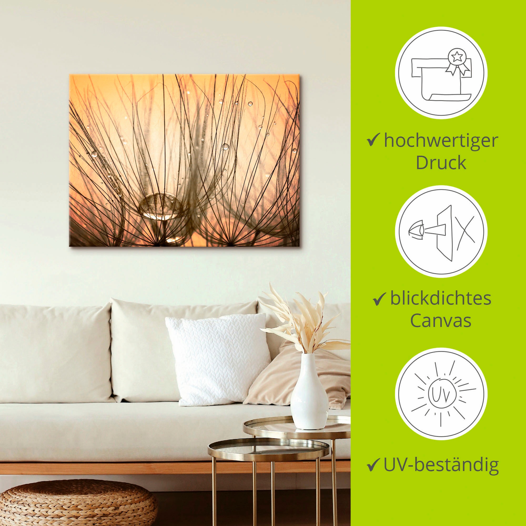 Artland Leinwandbild »Pusteblume I«, Blumen, (1 St.), auf Keilrahmen gespannt