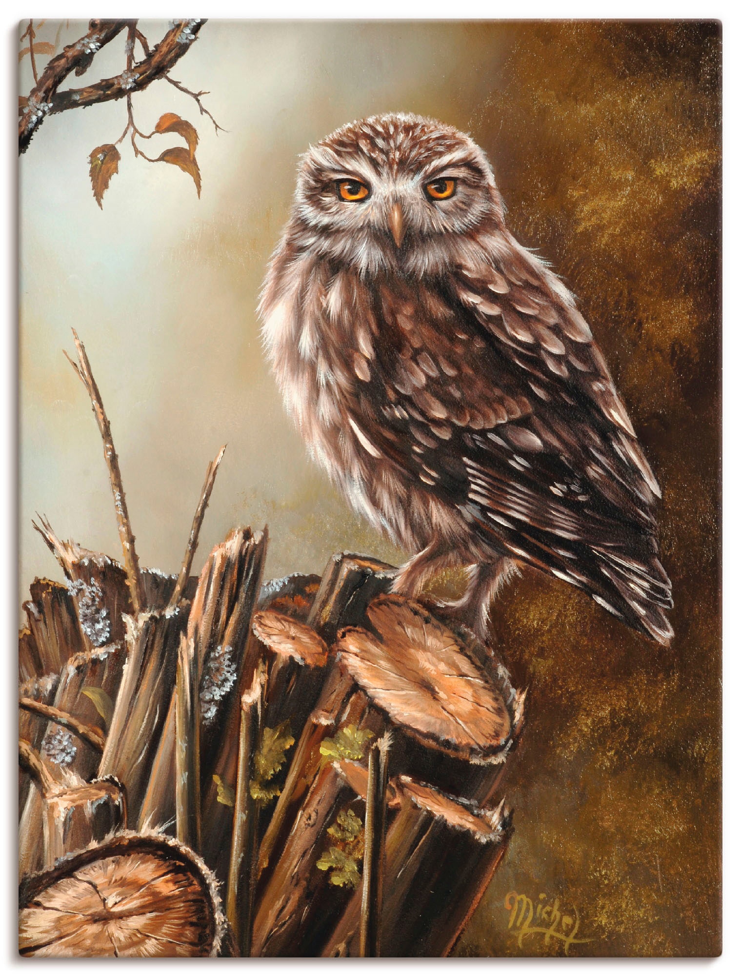Artland Wandbild »Eule«, Vögel, (1 St.), als Leinwandbild, Poster in versch günstig online kaufen