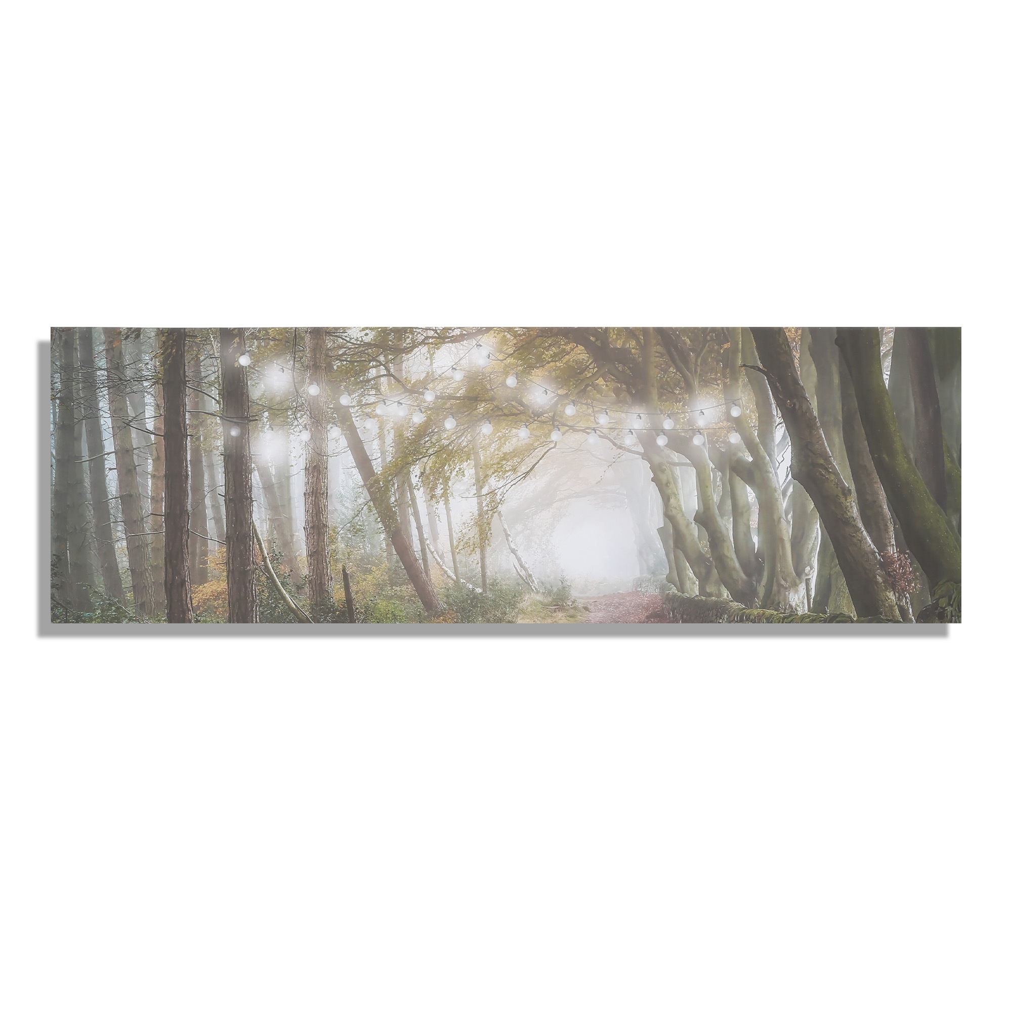 Art for the home LED-Bild »Waldspaziergang LED 30x90cm« Natur   Wald 1 Stk. günstig online kaufen