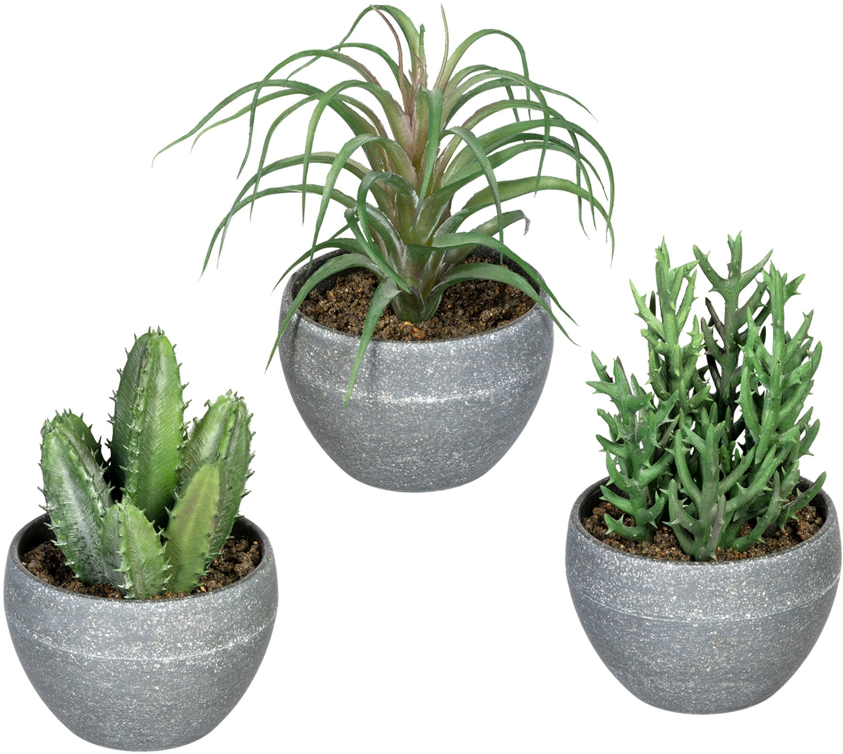 Creativ green Künstliche Zimmerpflanze 3er Melamintopf, Set Rechnung »Sukkulenten«, bestellen im auf