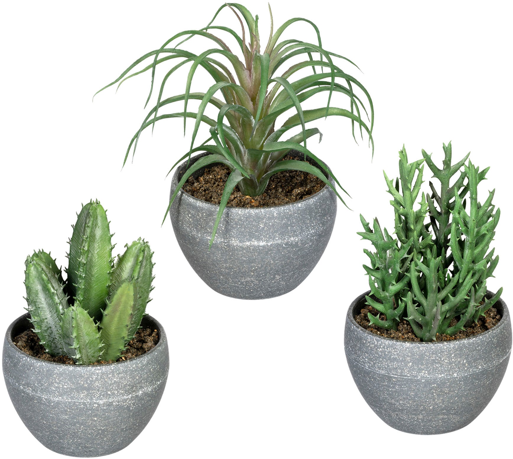 Creativ green Künstliche Zimmerpflanze »Sukkulenten«, im Melamintopf, 3er  Set auf Rechnung bestellen
