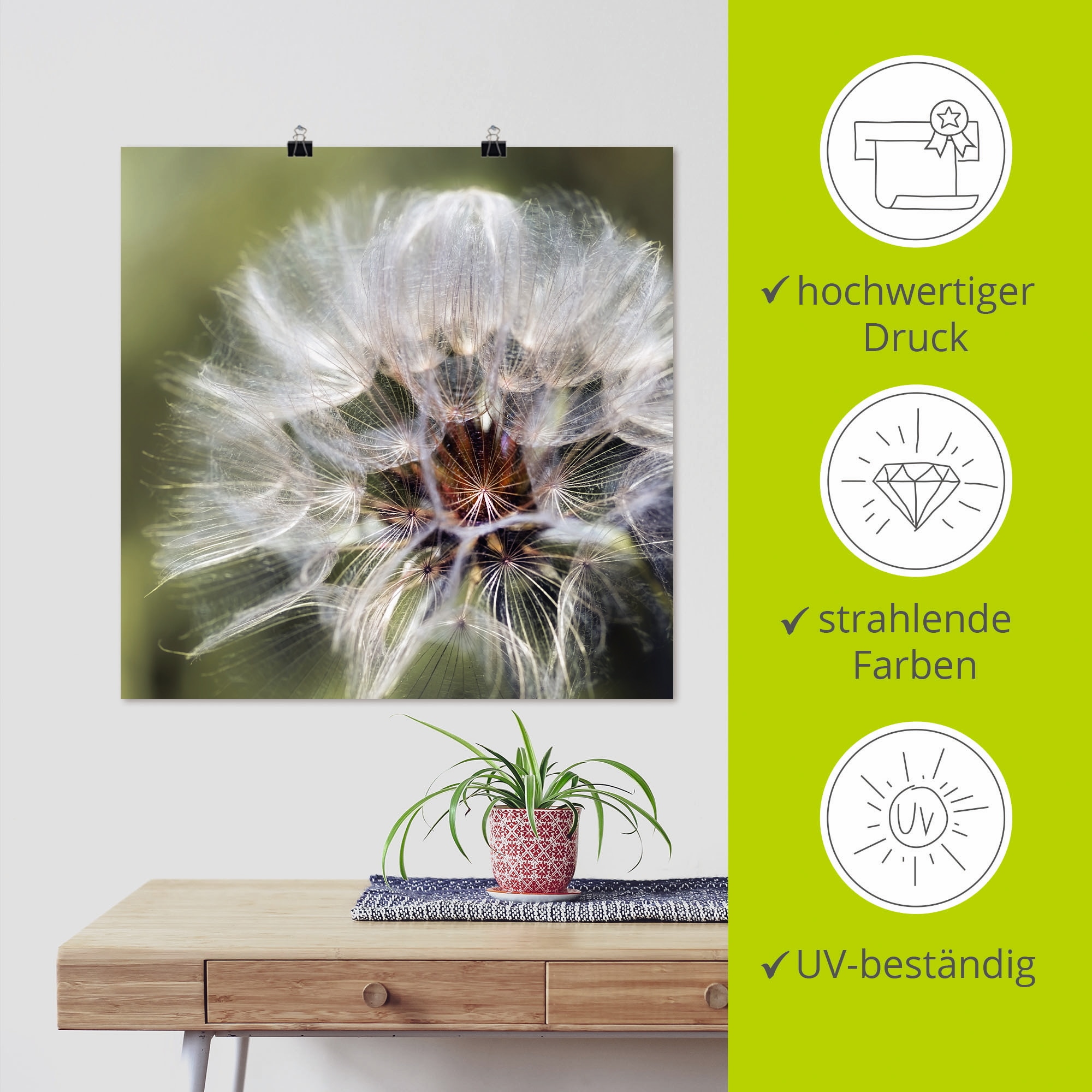 Artland Wandbild »Pusteblume II«, Blumen, (1 St.), als Alubild, Outdoorbild, Poster in verschied. Größen